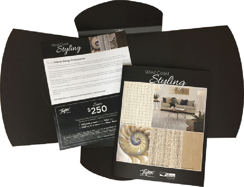 This is a view of all three elements: Flyer with Coupon, Brochure and Envelope.