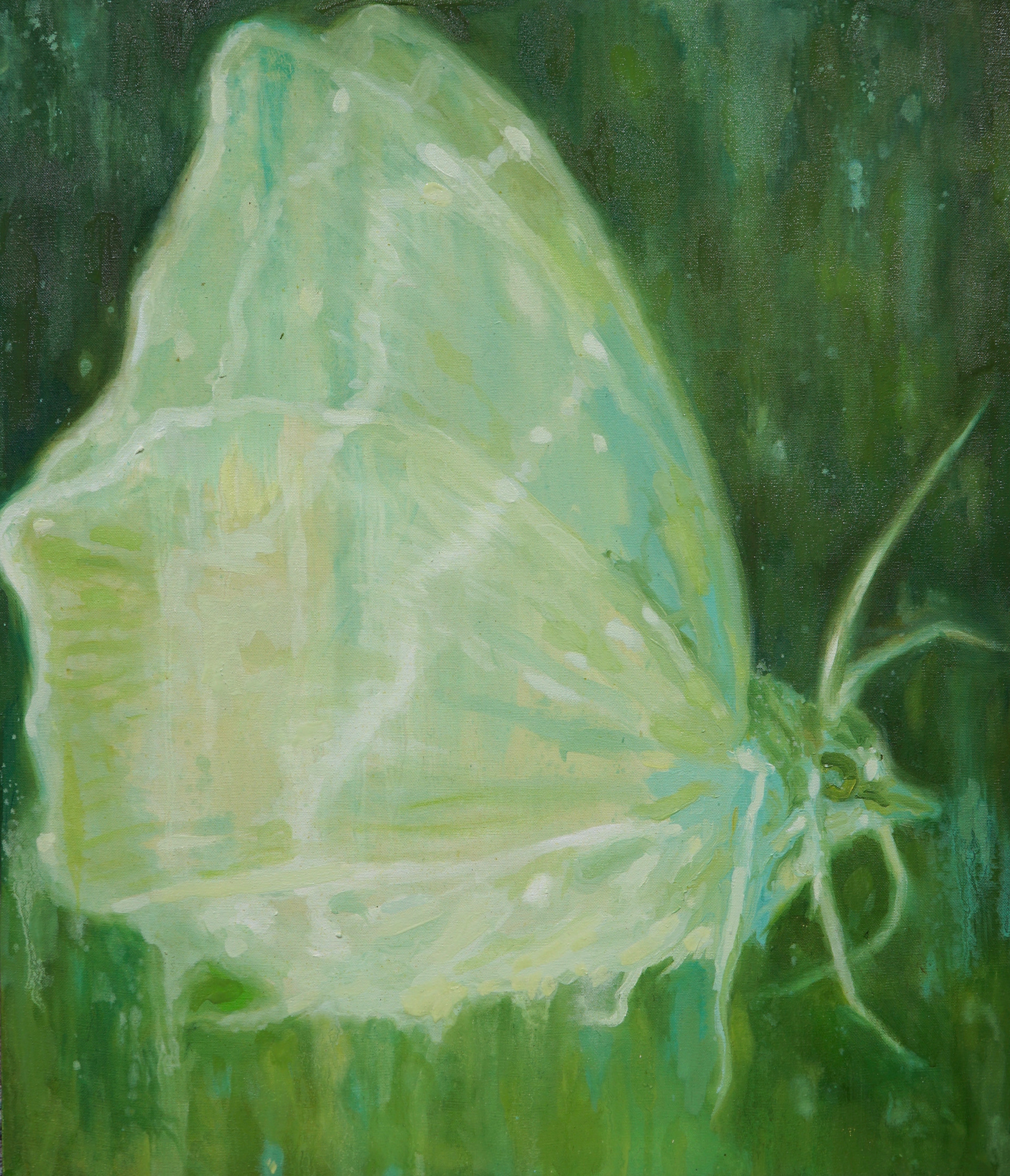 몸은 결코 단일한 적이 없었다 #3 (The body has never been singular #3), 45.5 x 53cm, Oil on canvas, 2022