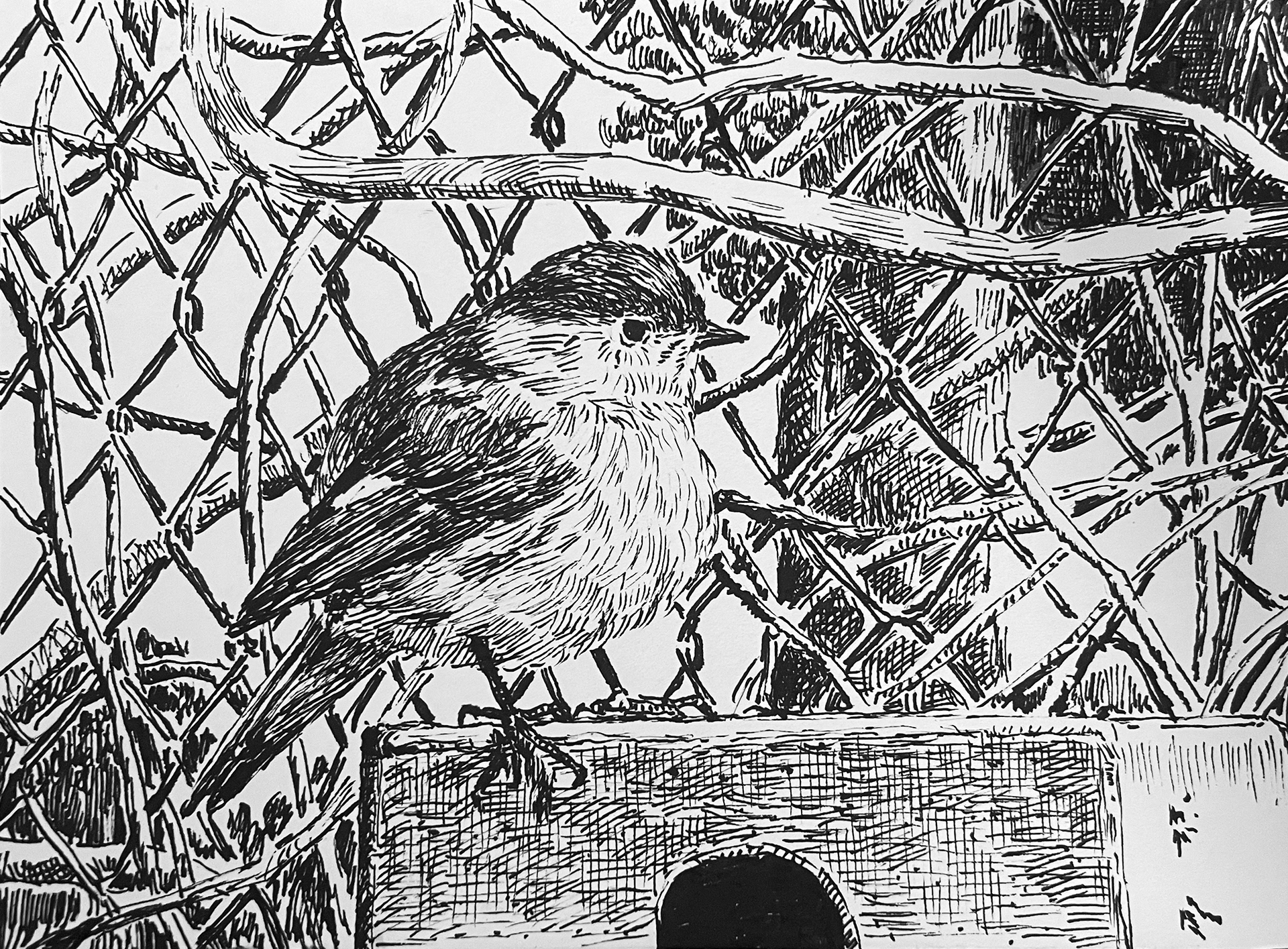 서울 한국예술종합학교 공방 붉은머리오목눈이 , 종이에 펜, 19.5 x 14.5cm, 2022