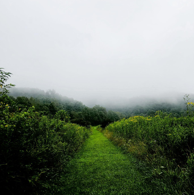 Hillsboro, WV, USA