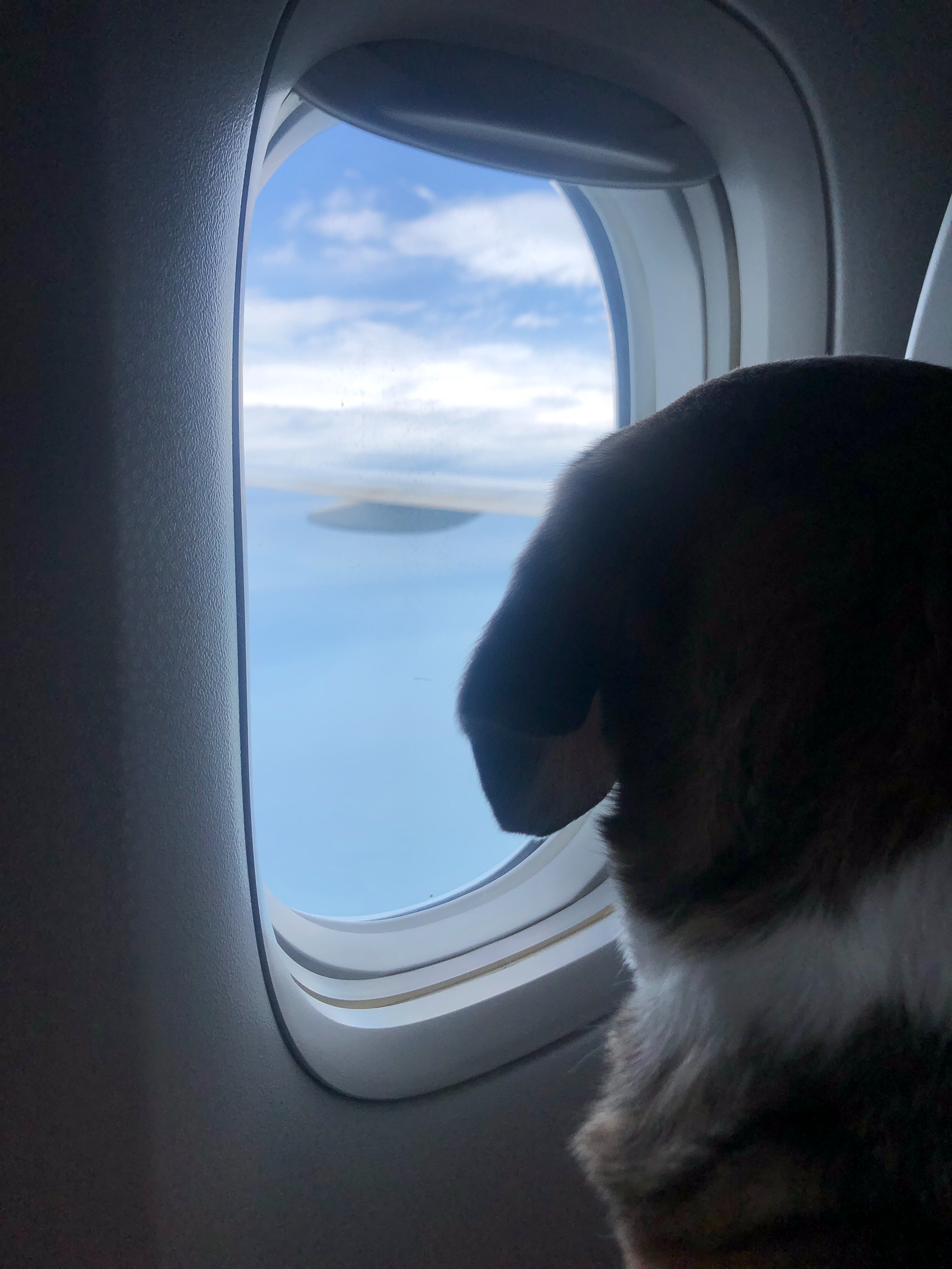 Somewhere over the Atlantic Ocean