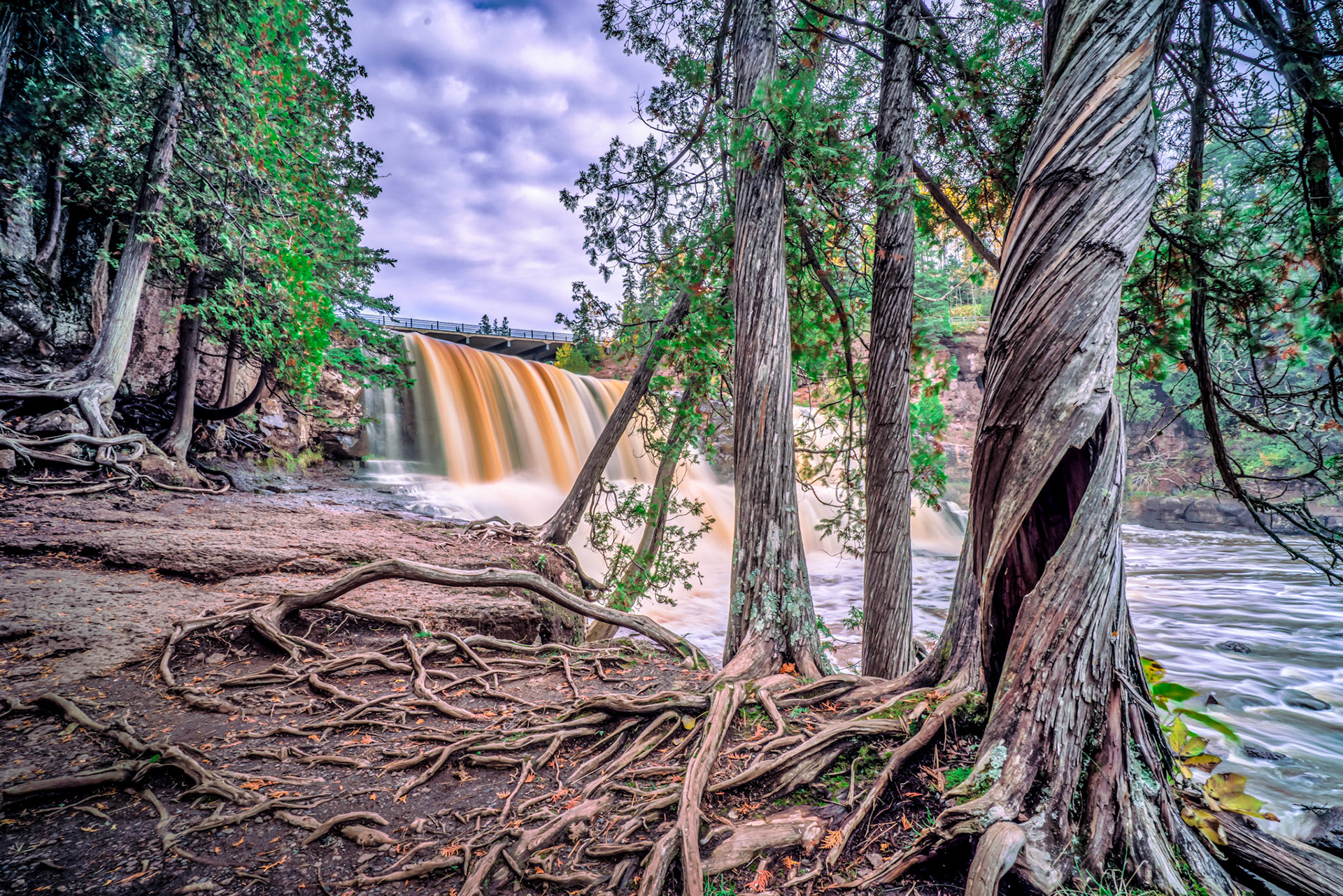 October 5 - Roots - Gooseberry Falls   The northern white cedar trees at Gooseberry Falls, also called swamp cedar, are commonly found along Lake Superior's shores and hills.The hardy cedar tree can grow in the crevasses of rocks and live more than 800 years, making it one of the oldest trees in North America. These incredible trees have medicinal properties; they are named "arborvitae" in Latin, meaning "tree of life." The Strength of GodHe is like a tree planted by streams of water that yields its fruit in its season, and its leaf does not wither. In all that he does, he prospers. Psalm 1:3