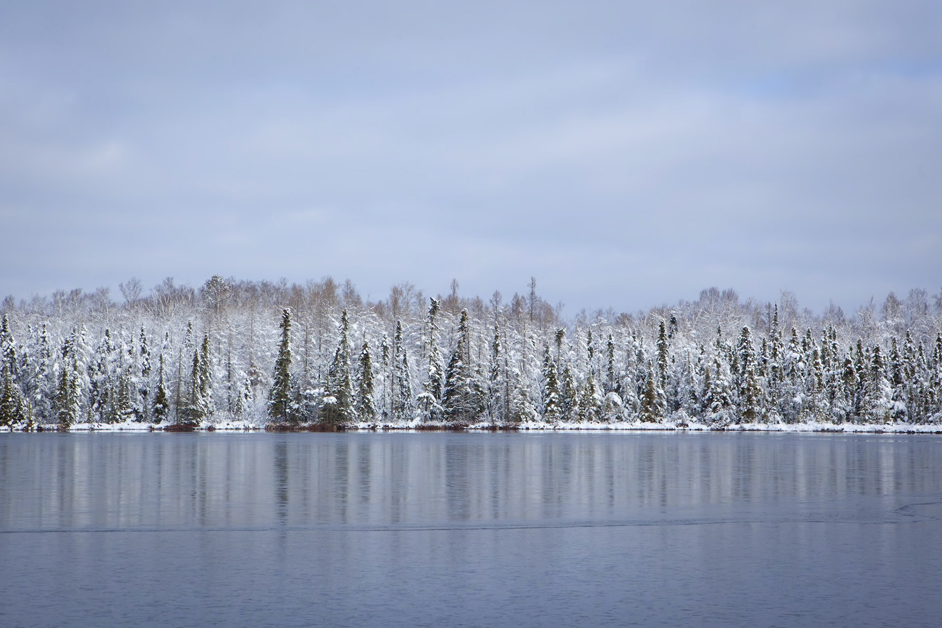 November 17 - Snowy PinesOn the fringe of winter, new ice on the lake and fresh snow in the trees make a beautiful November day. The occasional chirping of the local chickadees enjoying the cold and the crisp fresh air, which has a faint smell of pine trees, all add to the peacefulness of the winter landscape. It's a perfect day to venture out and enjoy the natural beauty surrounding us.He gives snow like wool; he scatters hoarfrost like ashes. Psalm 147:16