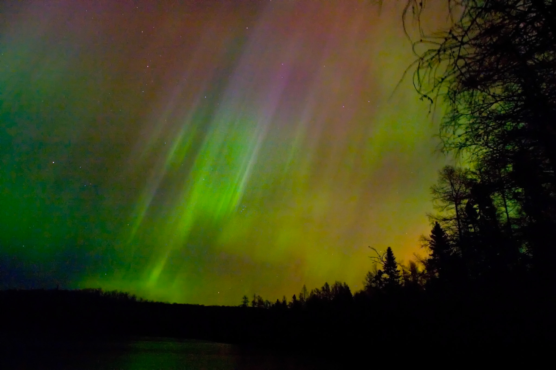 November 7 - The Heavens Declare His GloryNovember is an excellent time to watch the Northern Lights in the Northland. The long nights and clear, cool air provide the perfect conditions for the heavenly display.In addition to the Northern Lights, November is also an excellent month for stargazers. The crisp, clear skies make spotting constellations like Orion, Taurus, and Gemini easy. Whether you're a seasoned astronomer or just a casual observer, November is a fantastic time to gaze up at the heavens and marvel at the beauty of creation.The heavens declare the glory of God, and the sky above proclaims his handiwork. Psalm 19:1