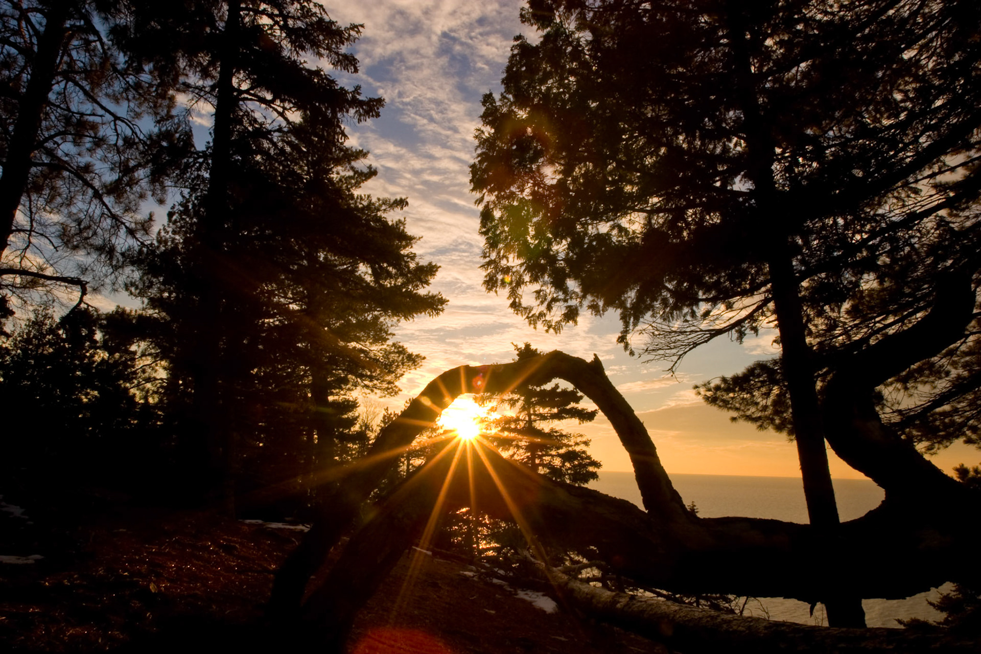 The bent trunk of a fallen pine tree, frames the sunrise of another beautiful day on the north shore of Lake Superior.