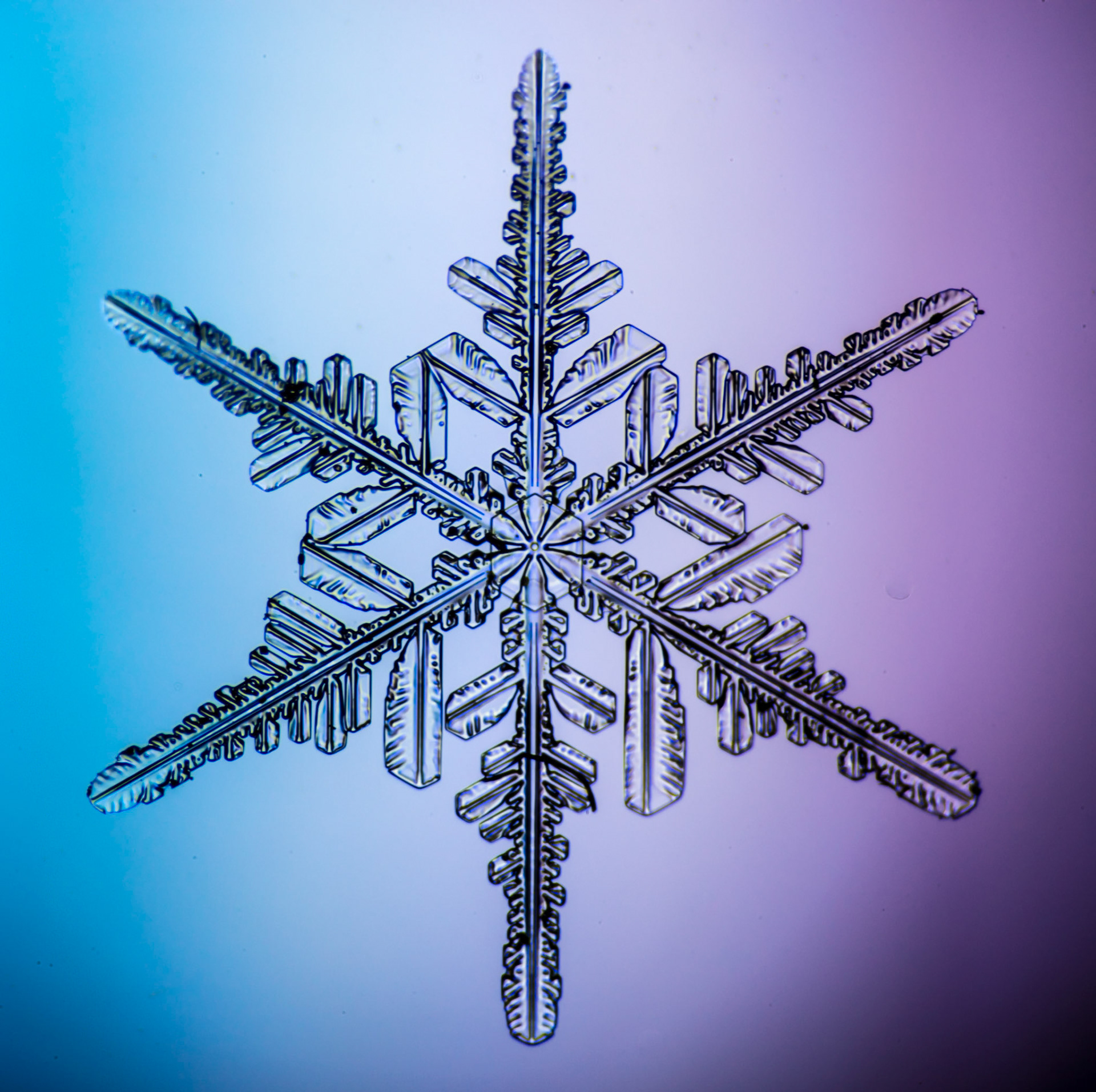 November 29 - Frozen in TimeThis delicate snowflake traveled for miles and then fell to the ground, cushioned by soft winds and other snowflakes.Why would God create such beauty that no one will ever see? It is for His Glory and joy -- I am so grateful to be able to see one up close.For from him and through him and to him are all things. To him be glory forever. Amen. Romans 11:36