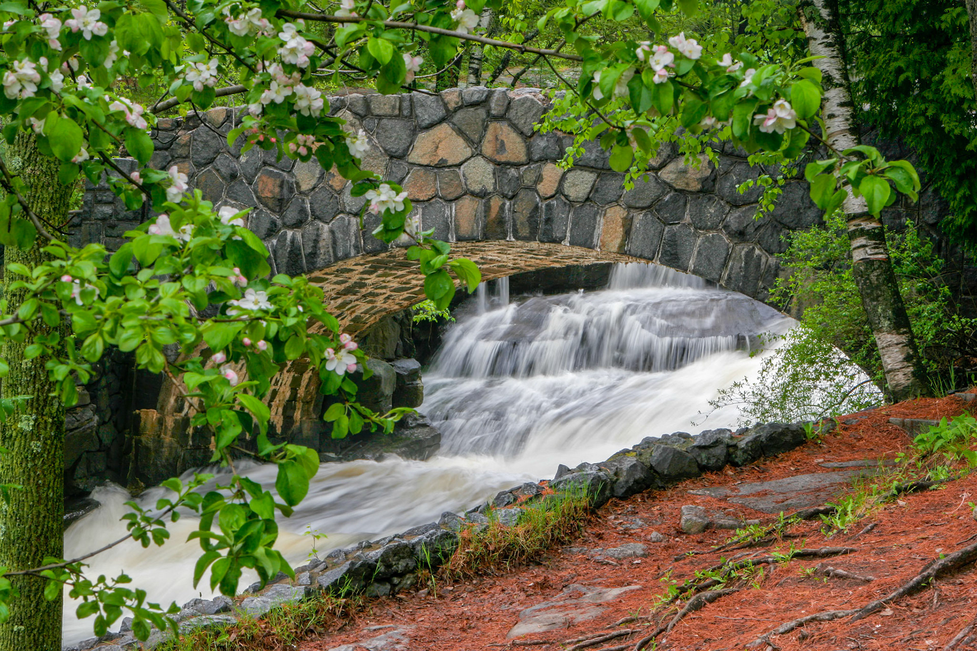 June 5th -Blossoms, waterfalls and green once again welcom's summer in the Northland.