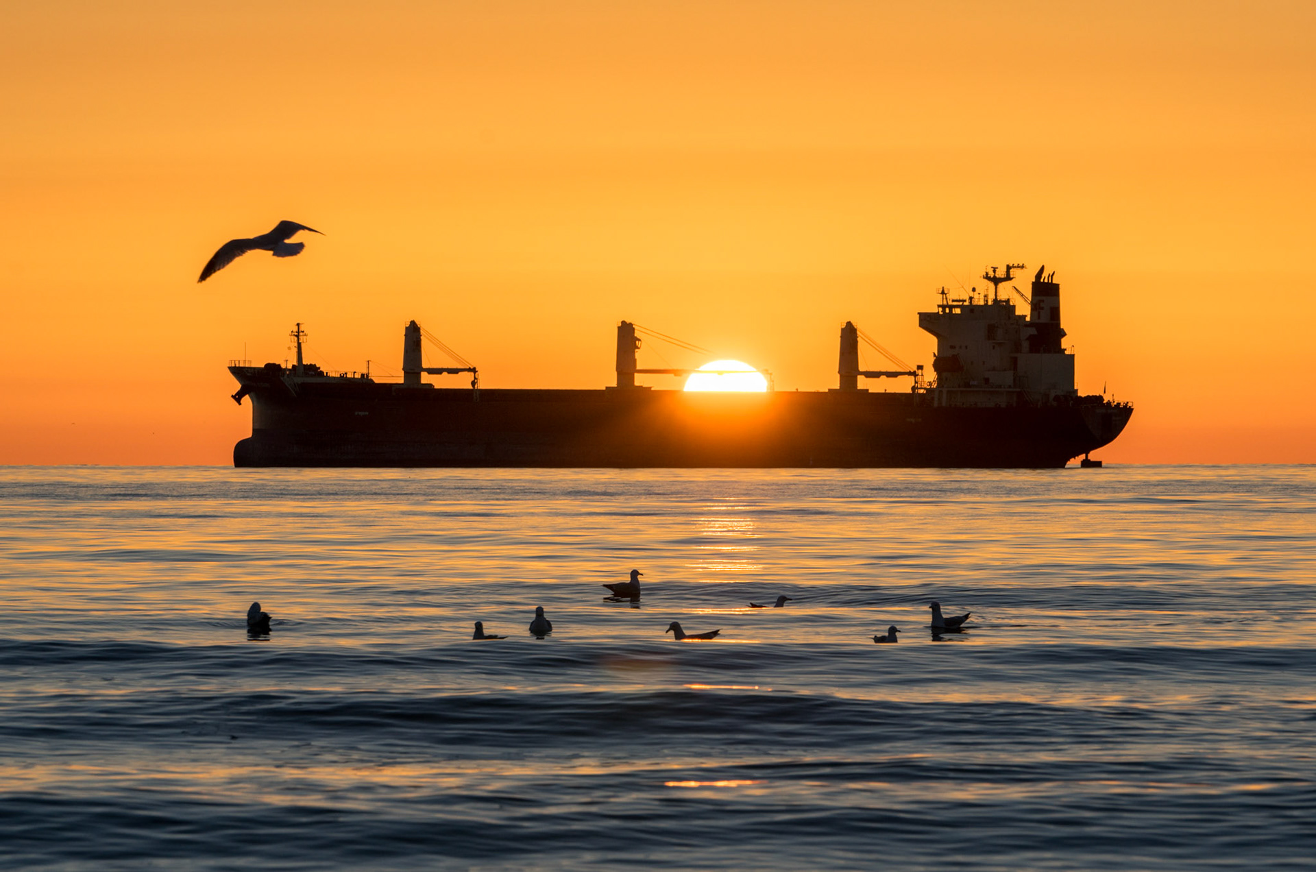 April 26—Sunrise Wakup—As the ocean freighter sits at anchor, waiting to load grain in Duluth, the local gulls and the ship crew wake up to a beautiful sunrise over Lake Superior.By late April, migration birds will return and begin to nest, a sign of new life to a new day."This is the day that the Lord has made; let us rejoice and be glad in it." - Psalm 118:24Springtime brings new life and the joy of warm days and longer daylight hours—Something to be thankful for.