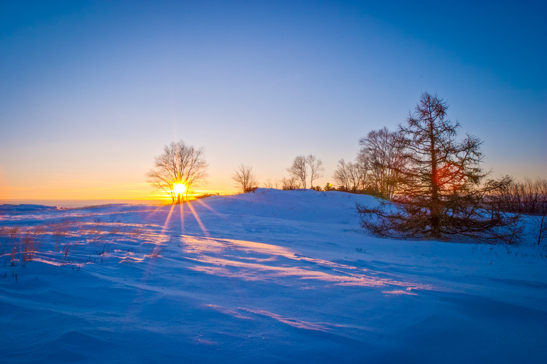 February 8 — WinterscapeThe winter sun peeks through a shoreline tree along Minnesota Point. Each new morning now brings an earlier sunrise, rising just a little farther north than the day before.With the Spring Equinox only six weeks away, anticipation of warmer days begins to outweigh mid-February’s cold winds. The sun’s strengthening rays remind us that change is already underway. Even now, it is a joy to step outside and observe each day for what it is — a quiet promise of renewal.This solitary tree serves as a reminder that when we feel alone, we only need to look up to see where our help comes from.“And my God will supply every need of yours according to His riches in glory in Christ Jesus.” — Philippians 4:19Just as surely as spring will arrive, so too will the promises of God be fulfilled.