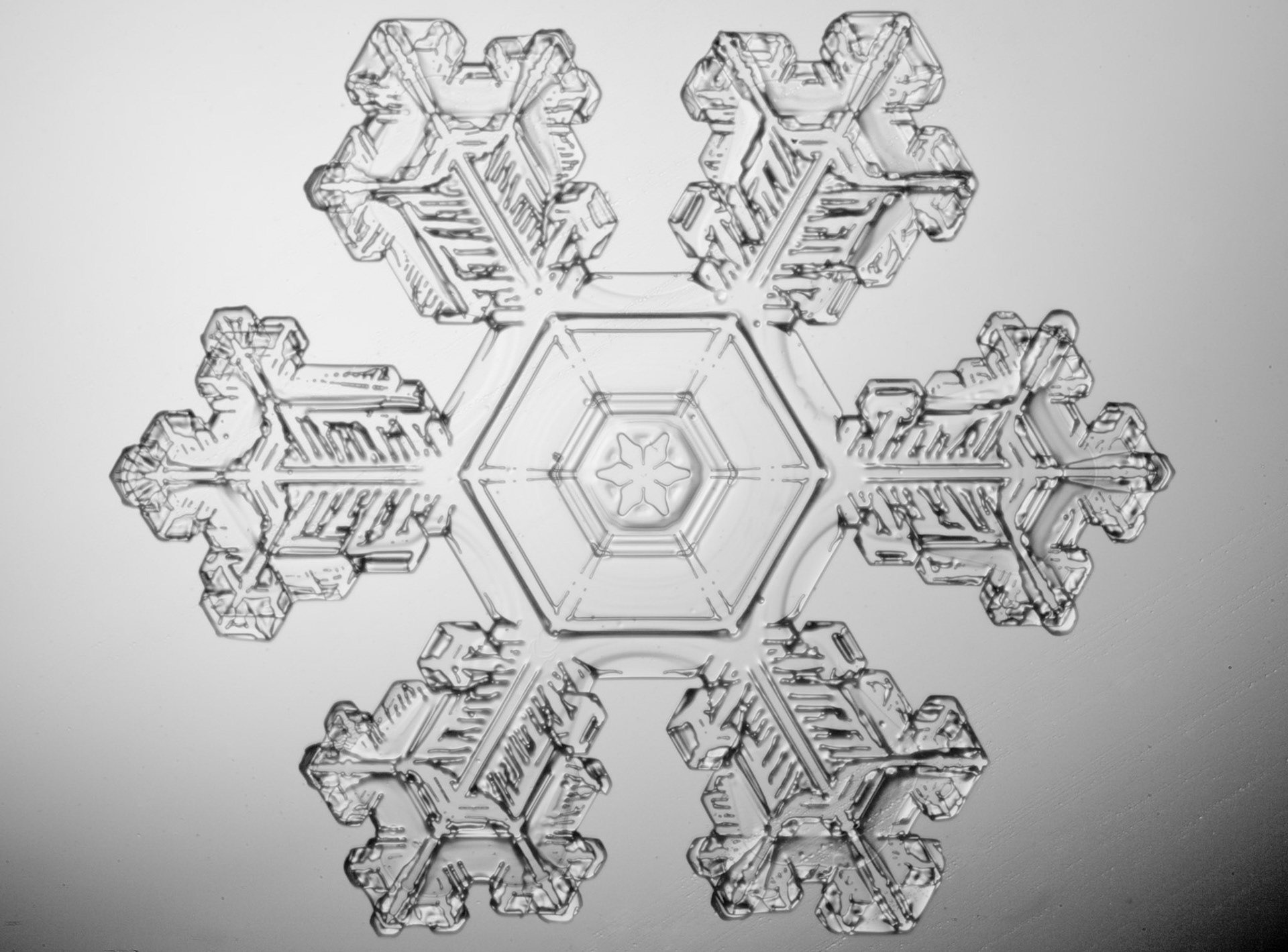 December 5th - God's Design in the Little Things of Earth The intricacies of this little snowflake are indeed a manifestation of God's glory. God did not have to make snowflakes with such beauty, especially something so small that cannot usually be seen, but He did so for his pleasure and goodness.For from him and through him and to him are all things. To him be glory forever. Amen. Romans 11:36