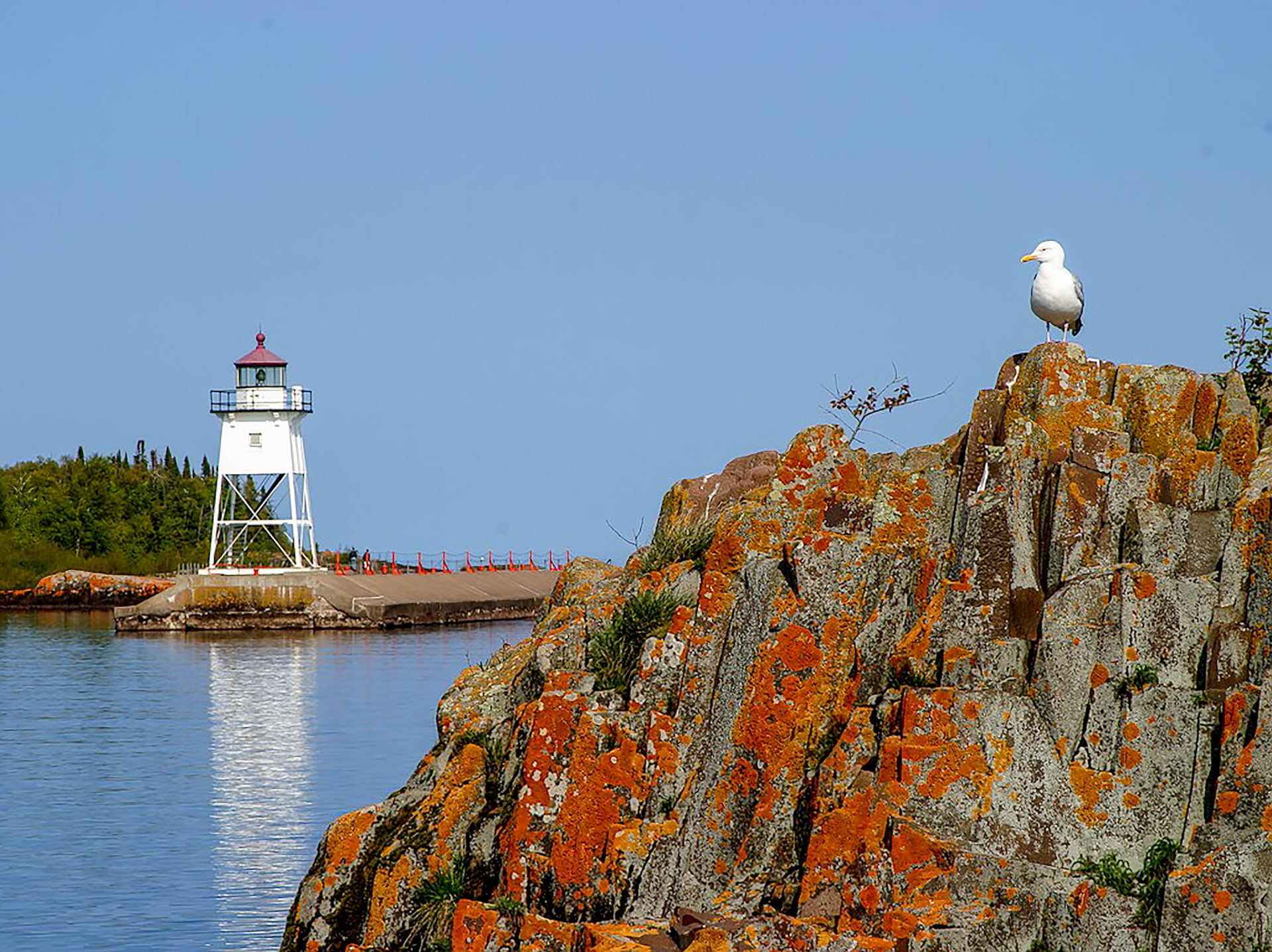 June 4th - Seagull LookoutA seagull rests atop the lichen-covered rocks of the North Shore of Lake Superior in the Grand Marais Harbor to scouts for fish.