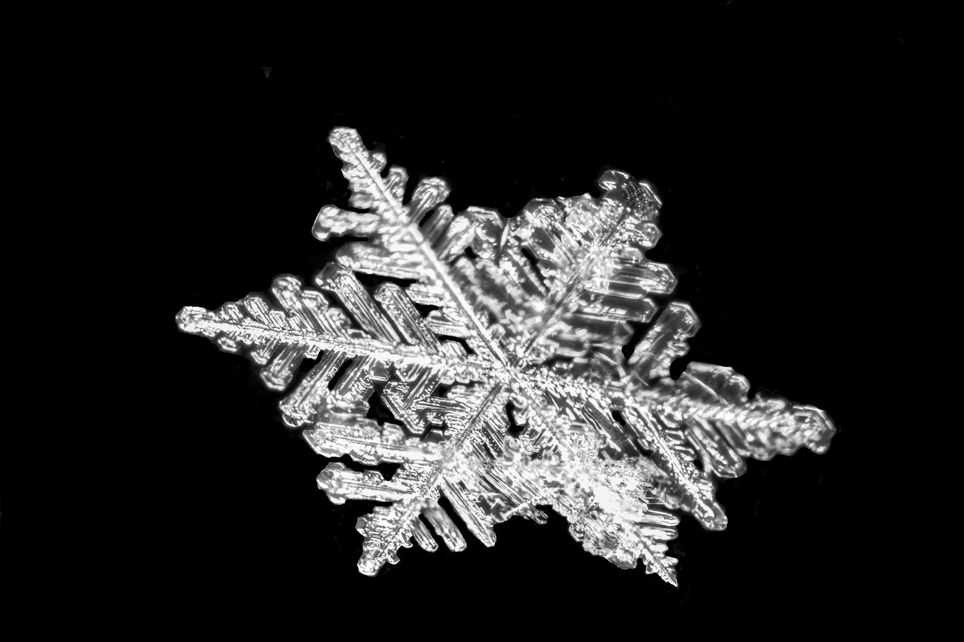 November 6 - Snow CrystalFrozen moisture, air currents, clouds, and temperature crafted the snowflake in this image. Updrafts carried the crystal for miles and then gently laid it to earth with millions of others.Because no two flakes can occupy the same space in time, each one must be physically different.We can relate to creation's intricate and individual beauty as people crafted by God's hand in the womb and allowed to grow into who we are.For you created my inmost being; you knit me together in my mother's womb.I praise you because I am fearfully and wonderfully made; your works are wonderful; I know that full well. Psalm 139:14