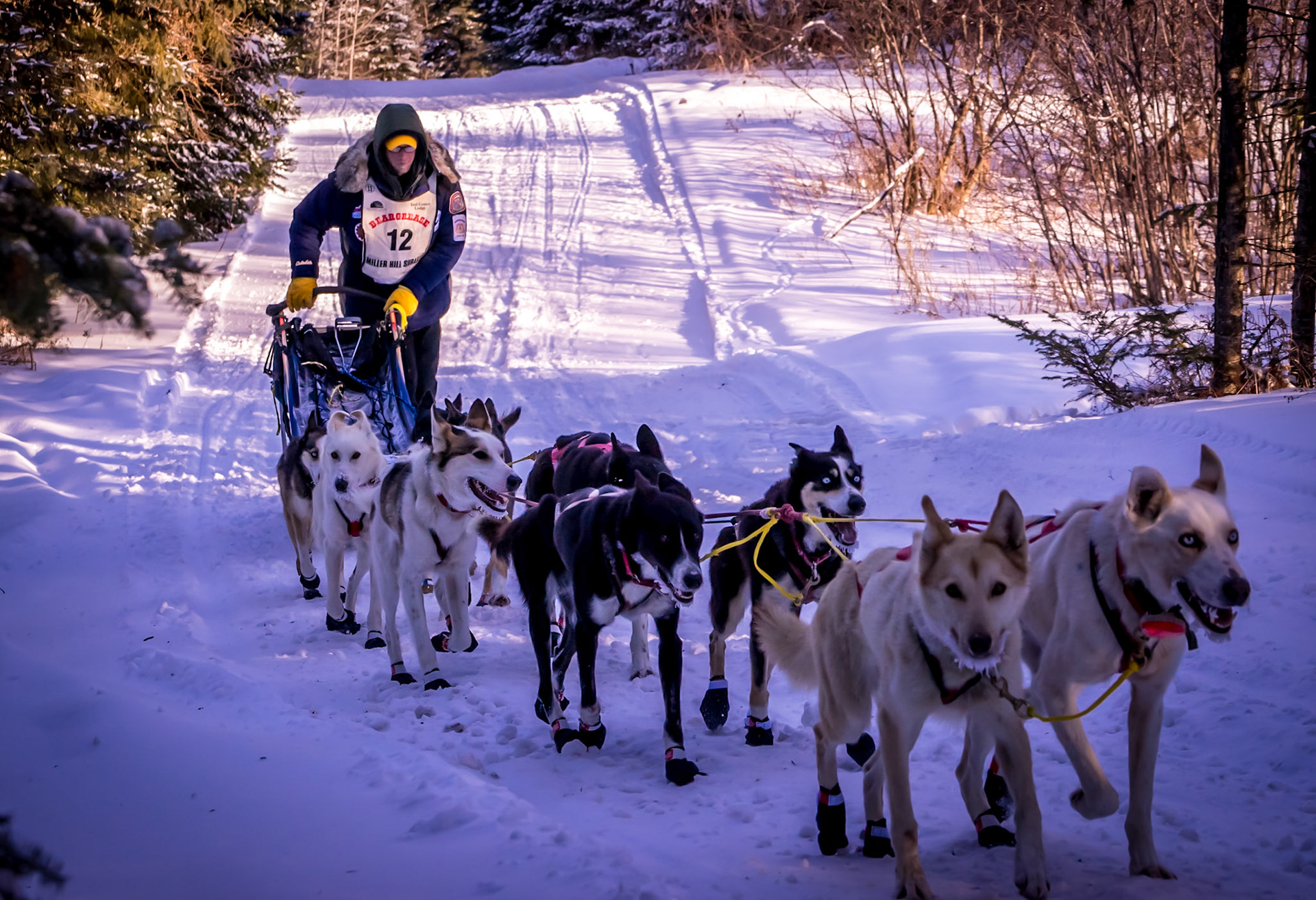 February 1 — Mushing Through the SnowFor over 40 years, Minnesota's North Shore has come alive with the excitement of the John Beargrease Sled Dog Marathon. This legendary race honors the spirit of John Beargrease and draws thousands of spectators and hundreds of mushers from across the nation.Few experiences compare to the beauty and exhilaration of dog sledding. The heritage of sled dogs — known as mushing — stretches back thousands of years, built on strength, trust, and endurance.These dogs run incredible distances willingly because God made them this way. After countless hours of training and preparation, the musher becomes a partner in the journey — not just a driver, but an integral part of the team."May you be strengthened with all power, according to his glorious might, for all endurance and patience with joy." — Colossians 1:11Today, consider the long run of life. When the trail is steep, and the wind is cold, trust in God's strength — and keep running your race with joy.