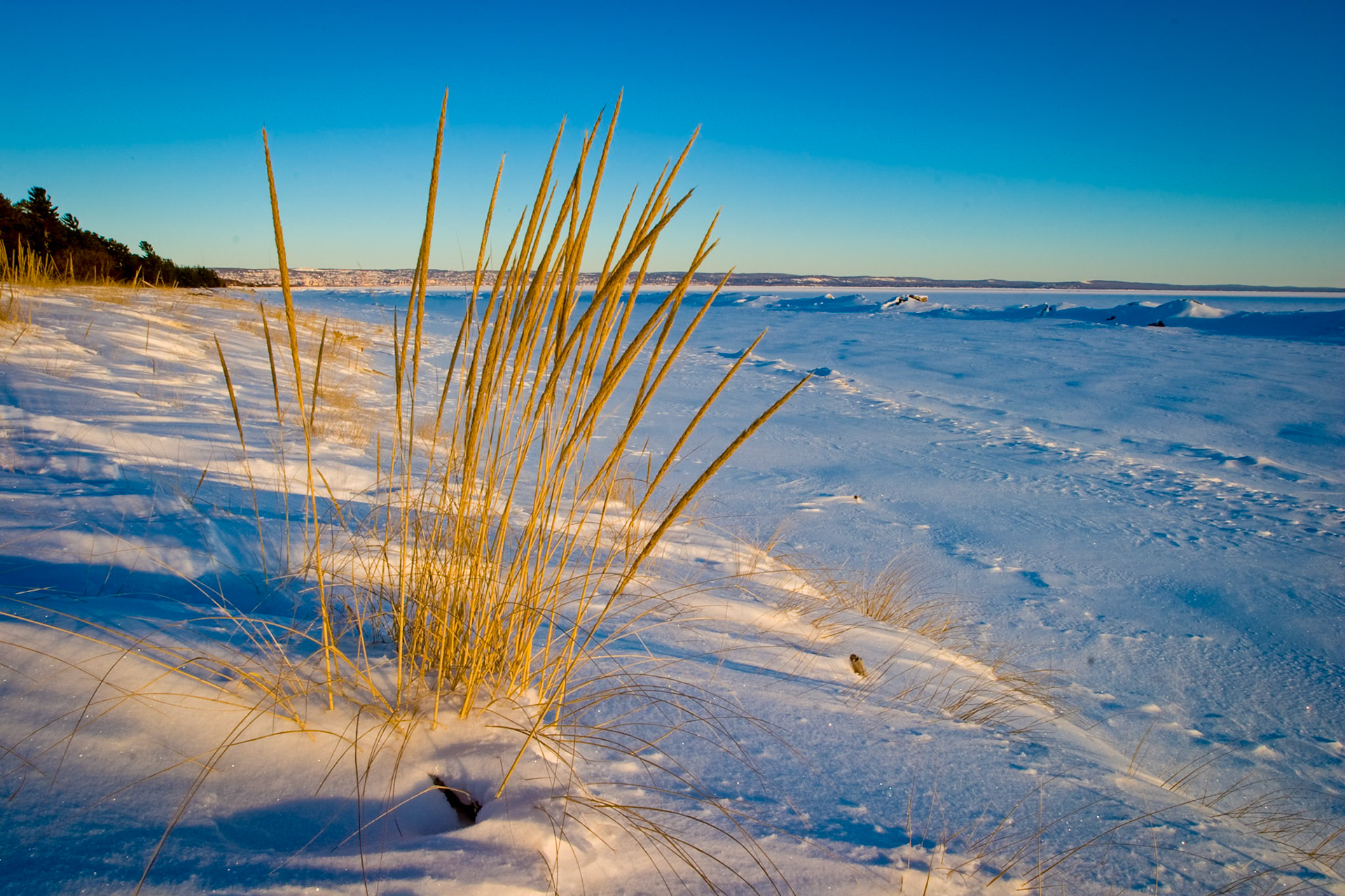 February 9 - Winter ShoresAlong the frozen shoreline of Lake Superior, golden American Beachgrass rises above the snow, standing firm against bitter wind and drifting sand. Even in winter’s harsh grip, this hardy grass continues its quiet work — stabilizing dunes, trapping snow, and protecting the shoreline from erosion and storm waves.Beachgrass thrives on resilience. Its deep, spreading roots anchor the shifting sand, and instead of being harmed by burial, it strengthens as wind-blown sand accumulates around it. What seems like pressure actually fuels its purpose. Creation constantly points us toward its Creator.When we pause to observe the natural world, we see reminders of God’s design, care, and sustaining power. The same God who strengthens this shoreline through humble blades of grass is the One who strengthens us through every season of life.“May you be strengthened with all power, according to His glorious might, for all endurance and patience with joy.”  — Colossians 1:11Just like the beachgrass along Minnesota Point, we must remain rooted in God’s presence, trusting that even when storms arise or uncertainty looms, Jesus Christ is actively working beneath the surface to build our faith for today. What a gift.