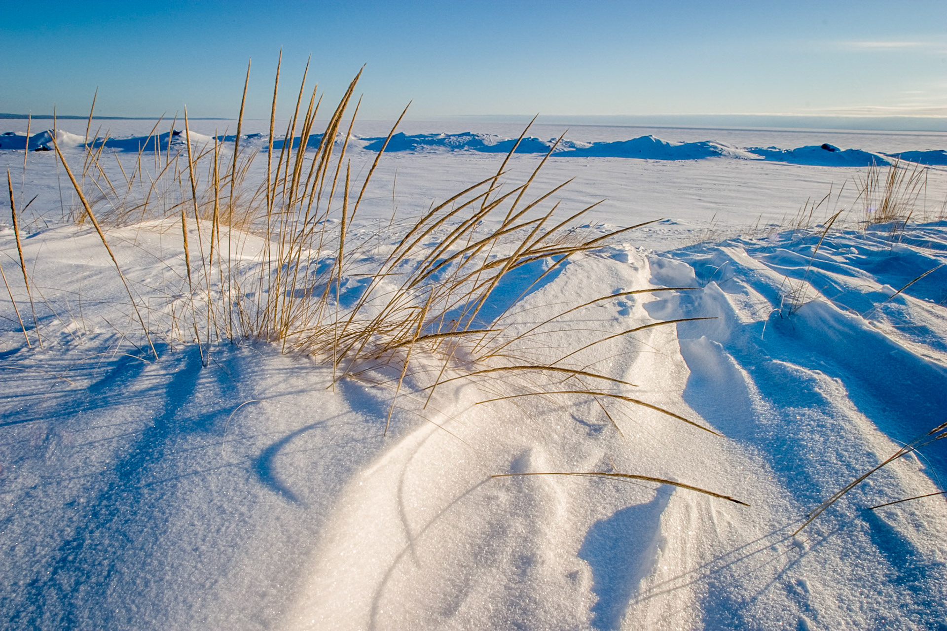 February 13 - Beach Grass &amp; Snow The windblown beaches of Park Point on Lake Superior's shores show the quiet season's beauty and solitude. You don't have to walk far to find simple beauty in the Northland, but you do have to look.But I have calmed and quieted my soul, like a weaned child with its mother; like a weaned child is my soul within me. Psalm 131:2Thank you, Lord, for today's fresh air and this scene to calm my soul.