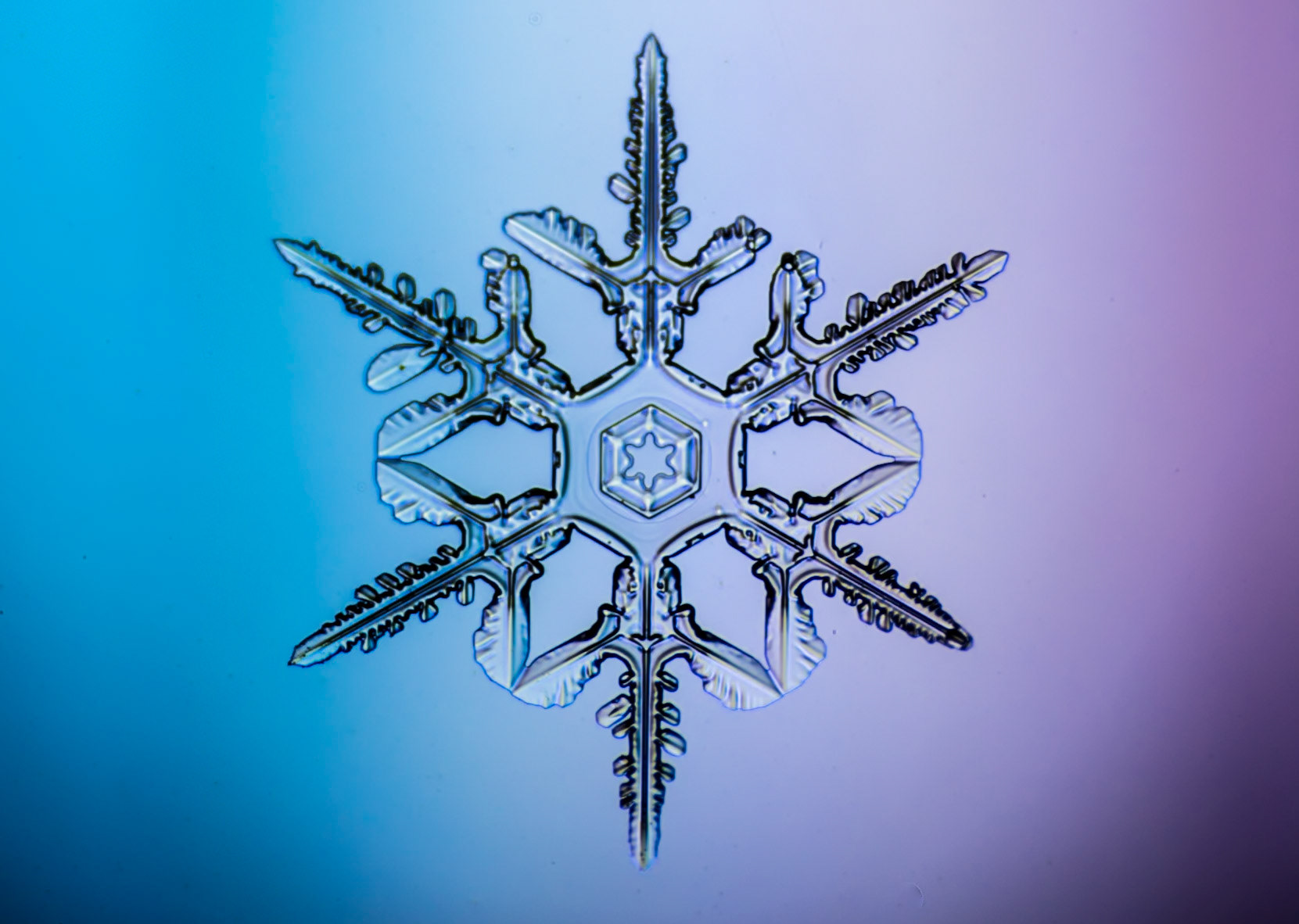 January 15 – Ice Crystal | Beauty in the Little ThingsJanuary is filled with ice and snow, and the scenery is incredible everywhere. You don’t have to leave your yard to photograph some of nature’s most fascinating details.This image was captured by mounting my camera on a frozen microscope. When you first focus on a snow crystal, you’re struck with awe as its intricate structure comes into view.As a photographer, I often feel overwhelmed standing before a landscape covered with billions of these tiny works of art—knowing I will never see most of them. Yet seeing even one feels like a special gift.“From whose womb did the ice come forth, and who has given birth to the frost of heaven?” — Job 38:29If God cares enough to craft beauty at this scale—unseen and fleeting—how much more care must He have for us?