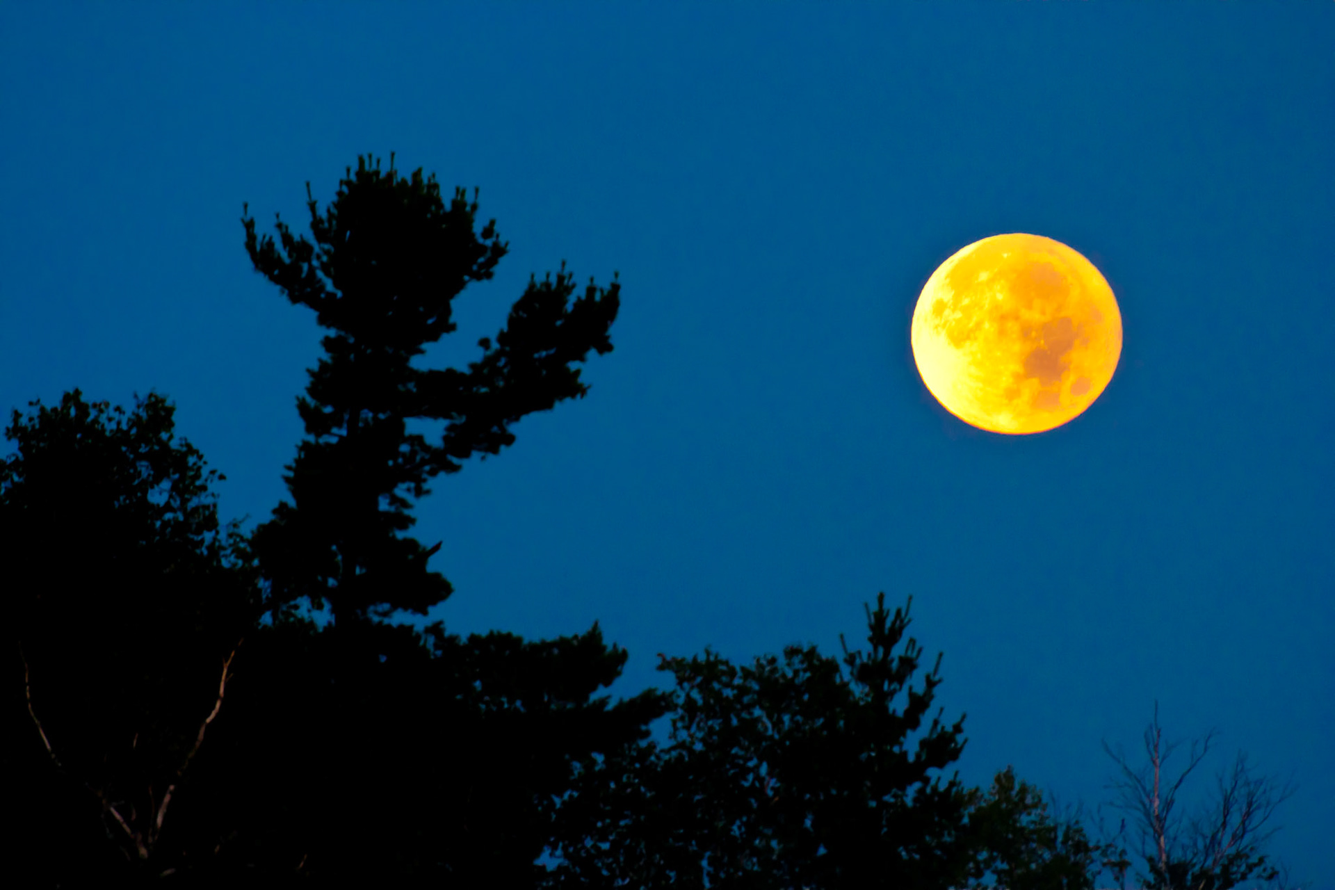 August 13 - Full Moon in the Pines - Mid-August is a time to reflect on the past summer and the autumn beauty that lies ahead.  The clockwork of the universe keeps perfect timing in the direction of God's providence.And God made the two great lights—the greater light to rule the day and the lesser light to rule the night—and the stars.  Genesis 1:16