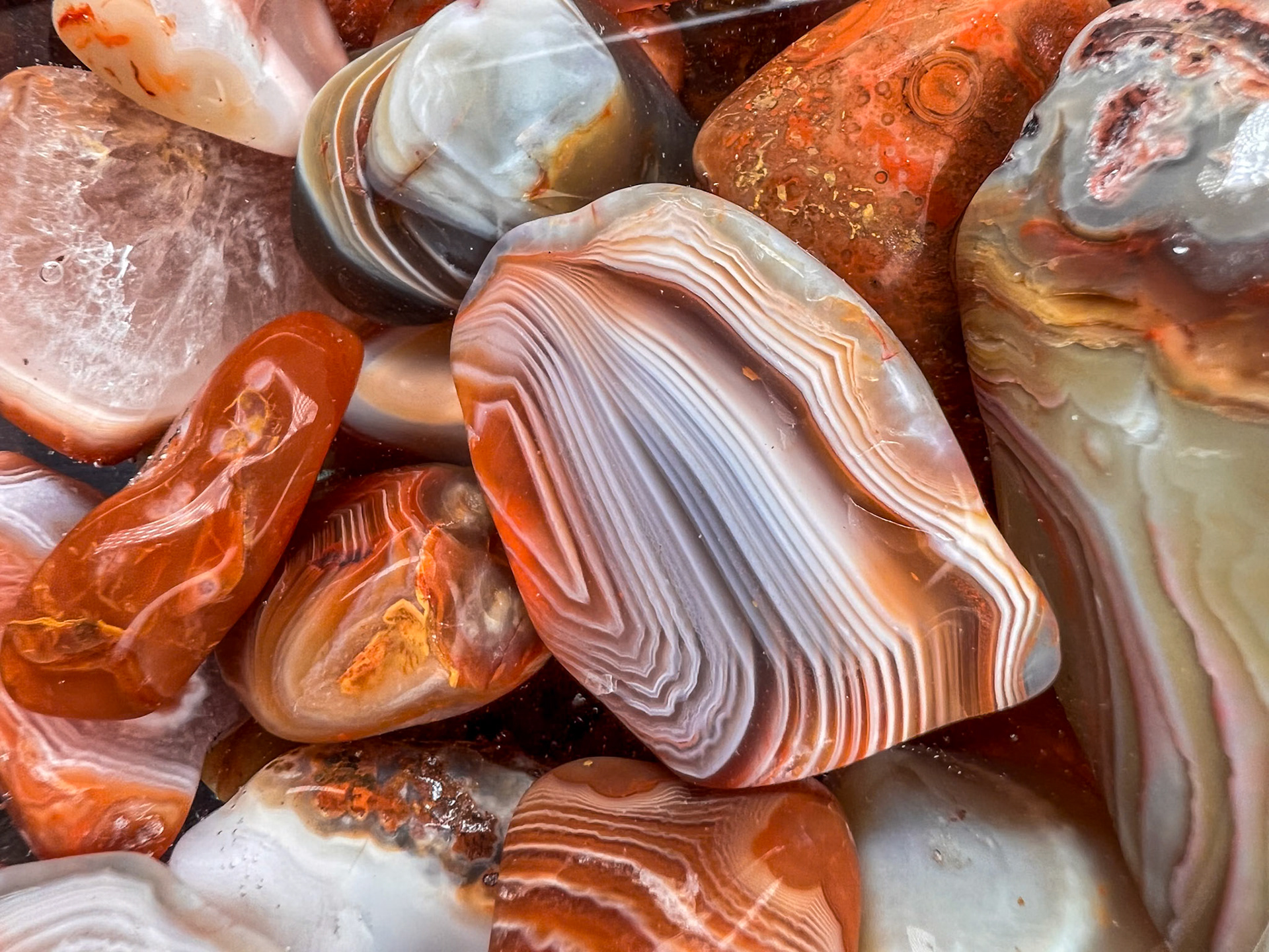 January 27 – Lake Superior Agates - Gems of the NorthThese polished Lake Superior agates began as rough, unremarkable stones before spending two months in a rock tumbler. Through the harsh, repetitive action of tumbling across progressively finer grits, their hidden beauty slowly revealed itself.Designated the Minnesota State Gemstone in 1969, Lake Superior agates are prized worldwide for their durability, color, and distinctive banding. Carried and scattered by ancient glaciers, these agates form with warm reds, oranges, and browns as iron minerals oxidize—an iron-rich chemistry that gives them their signature fire.When fully polished, agates develop a glassy, almost glowing surface that brings their internal bands to life. They are valued not only for how they appear in the wild, but for the beauty revealed through patience and refinement.“The foundations of the wall of the city were adorned with every kind of jewel. The first was jasper, the second sapphire, the third agate…” — Revelation 21:19Much like the agate, the hard tumbles of life have a way of revealing a beauty meant to endure.