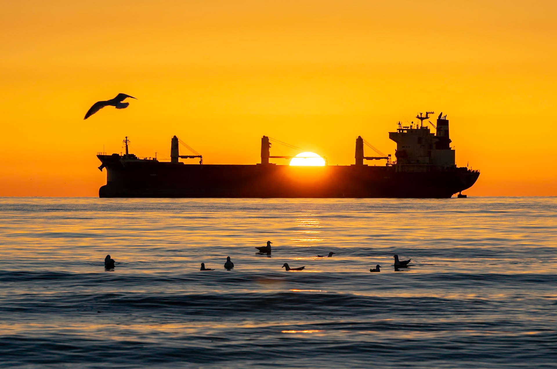The Federal Kushiro sits at anchor waiting for it's turn to load grain in Duluth.