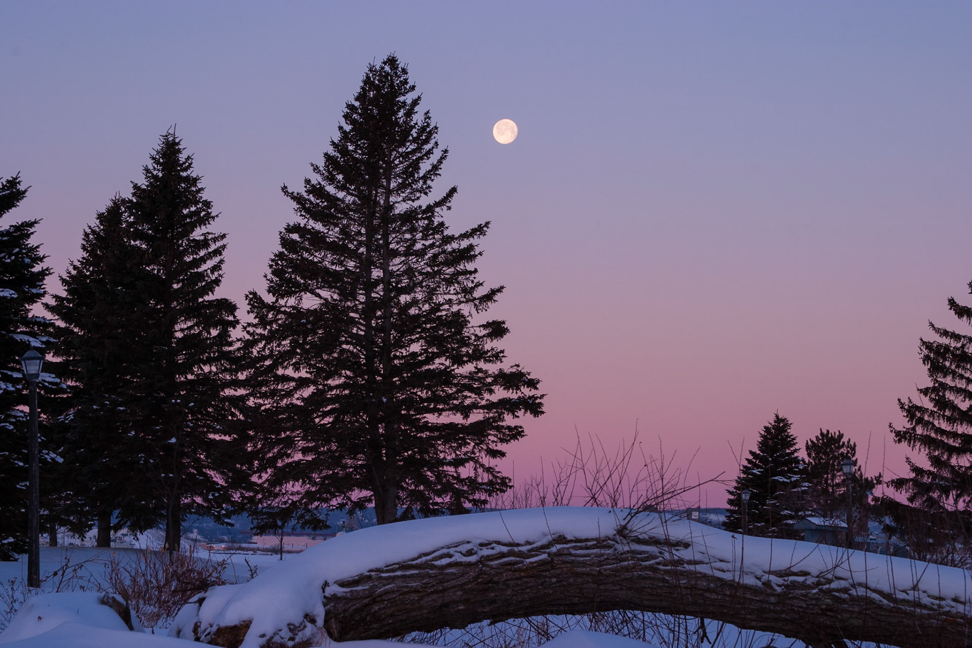 The moon drops across the horizon at it sets befor a northland winter day.