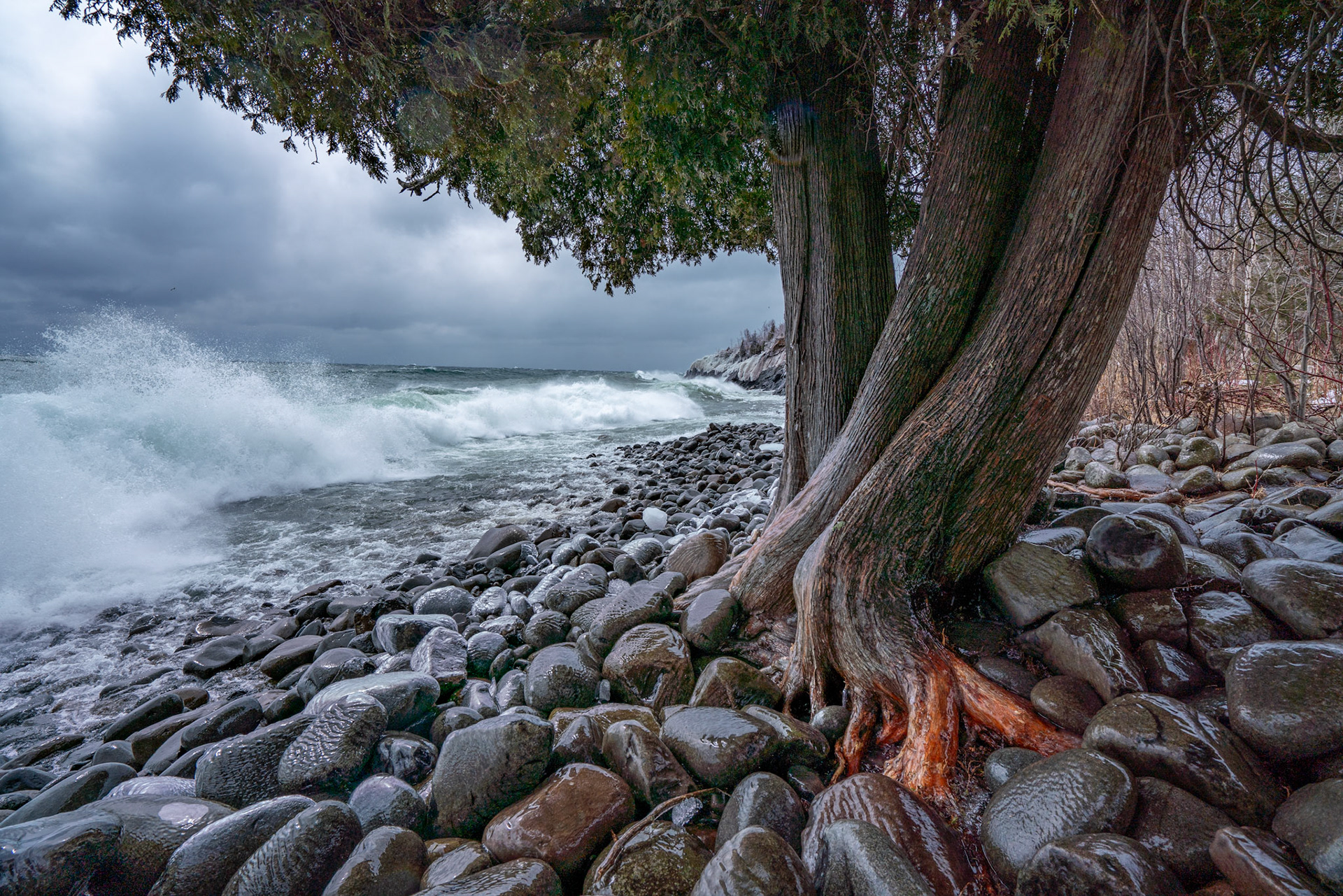 April 15 - Lake Superior ShoresThe April storm pounds the North Shore of Lake Superior, and the waves roll the rounded rocks, creating a distinct sound like they are gathering bowling balls together.Cedar trees are known for their hardiness, especially for the species that grow along the shores of Lake Superior. The harsh winds, frigid temperatures, and heavy snowfall during the winter months expose these trees to adverse conditions. However, they can survive and thrive in these conditions thanks to their firm and flexible branches, deep root systems, and ability to withstand extreme cold. Cedar trees are often used in landscaping projects along the shores of Lake Superior due to their ability to withstand the harsh climate and provide year-round greenery."For as the rain and the snow come down from heaven and do not return there but water the earth, making it bring forth and sprout, giving seed to the sower and bread to the eater,..." Isaiah 55:10The scene containing water, trees, and skies illustrates God's handiwork.