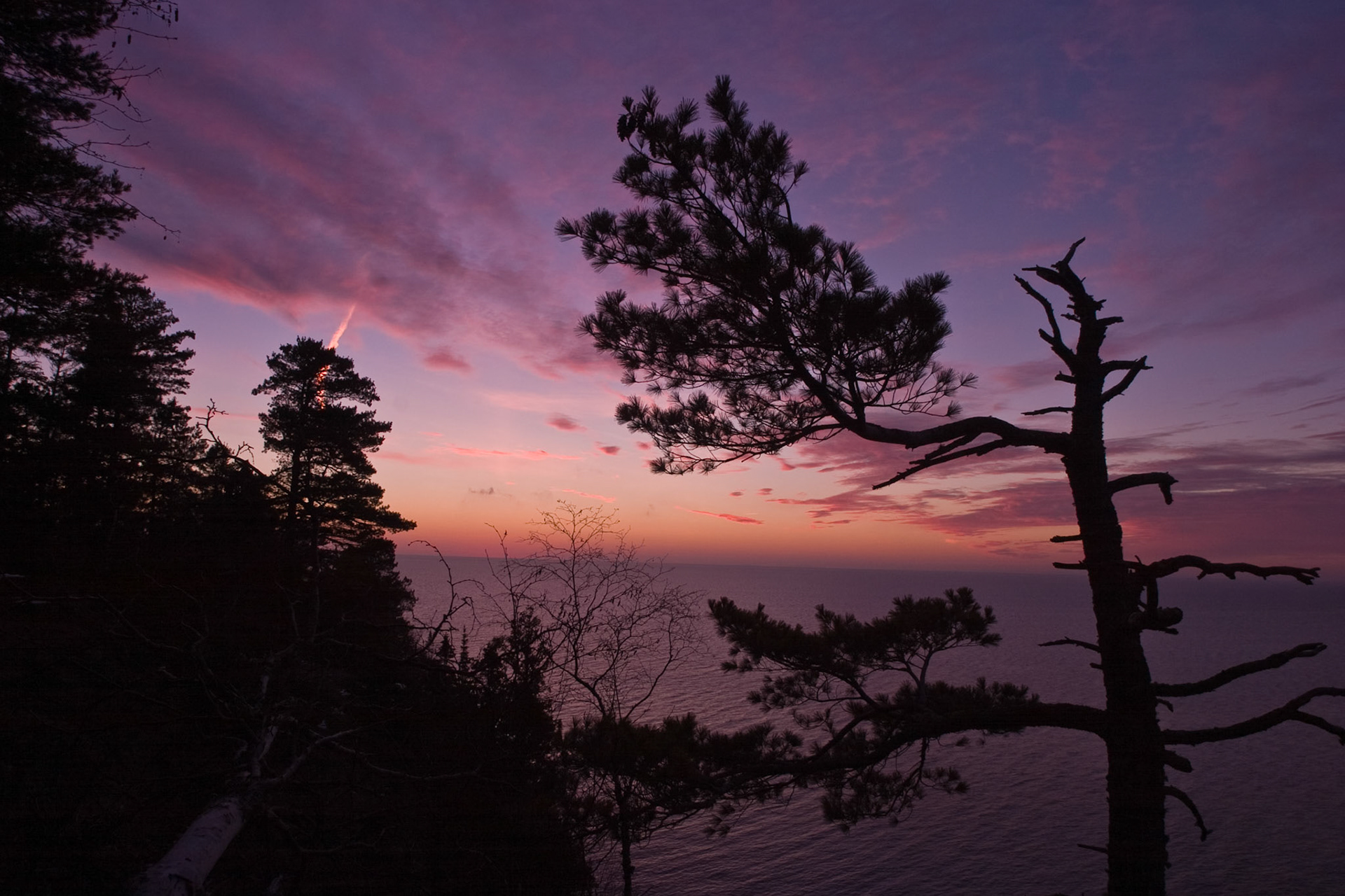 This pine tree makes it's last stand along the shores of Lake Superior