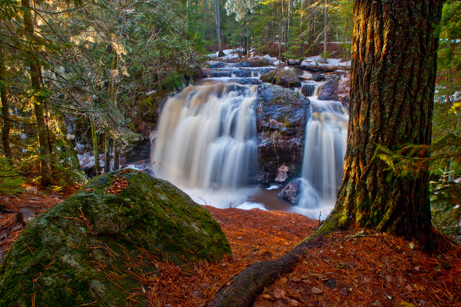 April 30 - Springtime in the ForestThe Amnicon River, flowing through Amnicon State Park south of Superior, Wisconsin, is rushing with melting snow from the inland snowpack.The Horton Bridge in Amnicon State Park is a historic landmark on the National Register of Historic Places. This picturesque bridge spans the Amnicon River and offers stunning views of the surrounding forest. It is also called a Bowstring bridge and a popular spot for photographers and nature enthusiasts. And I heard a voice from heaven, like the sound of many waters and like the sound of loud thunder, and the voice which I heard was like the sound of harpists playing on their harps. Revelation 14:2The sweet smell of the pine needles covering the forest floor was overpowering, as were the sounds of the birds and the rush of water. Go for a walk today if you can; it will be a wake-up call to enjoy God's creation.
