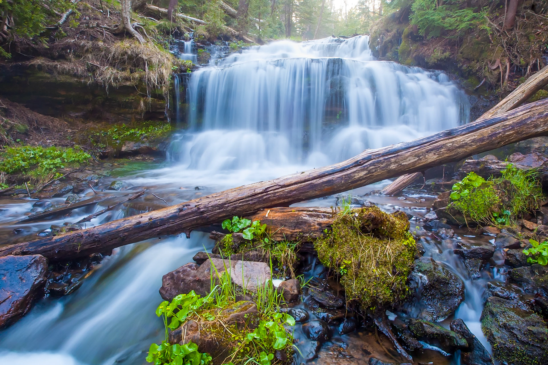 May 20 - Falling into SummerWith summer only weeks away, the local waterfalls are still flowing stron, and the landscapes are turning fresh green.He makes me lie down in green pastures. He leads me beside still waters. Psalm 23:2Rest and refreshment are a sure sign of approaching summer.