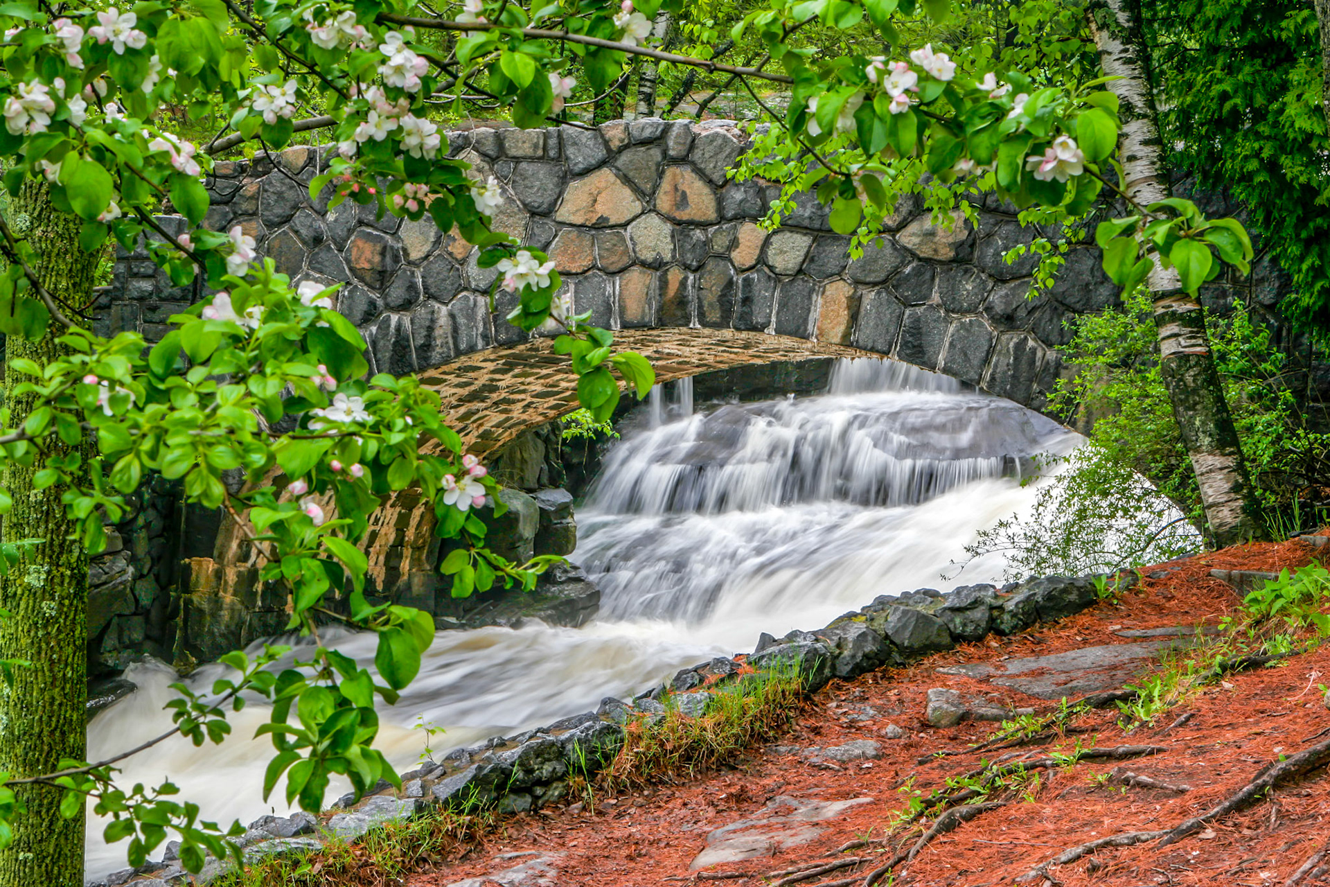 June 5 - Kingsbury CreekBlossoms, waterfalls, and green once again welcome summer in the Northland. Kingsberry Creek falls down the Duluth hillside behind the Duluth Zoo in West Duluth. A relatively obscure walking path brings you to this CCC bridge, built in the 1930s.Springtime, a season of rebirth and new beginnings, presents an opportunity to rejuvenate your mind and bask in the crisp, fresh air."See! The winter is past; the rains are over and gone. Flowers appear on the earth; the season of singing has come, the cooing of doves is heard in our land. The fig tree forms its early fruit; the blossoming vines spread their fragrance. Arise, come, my darling; my beautiful one, come with me."A short walk today will refresh your soul.