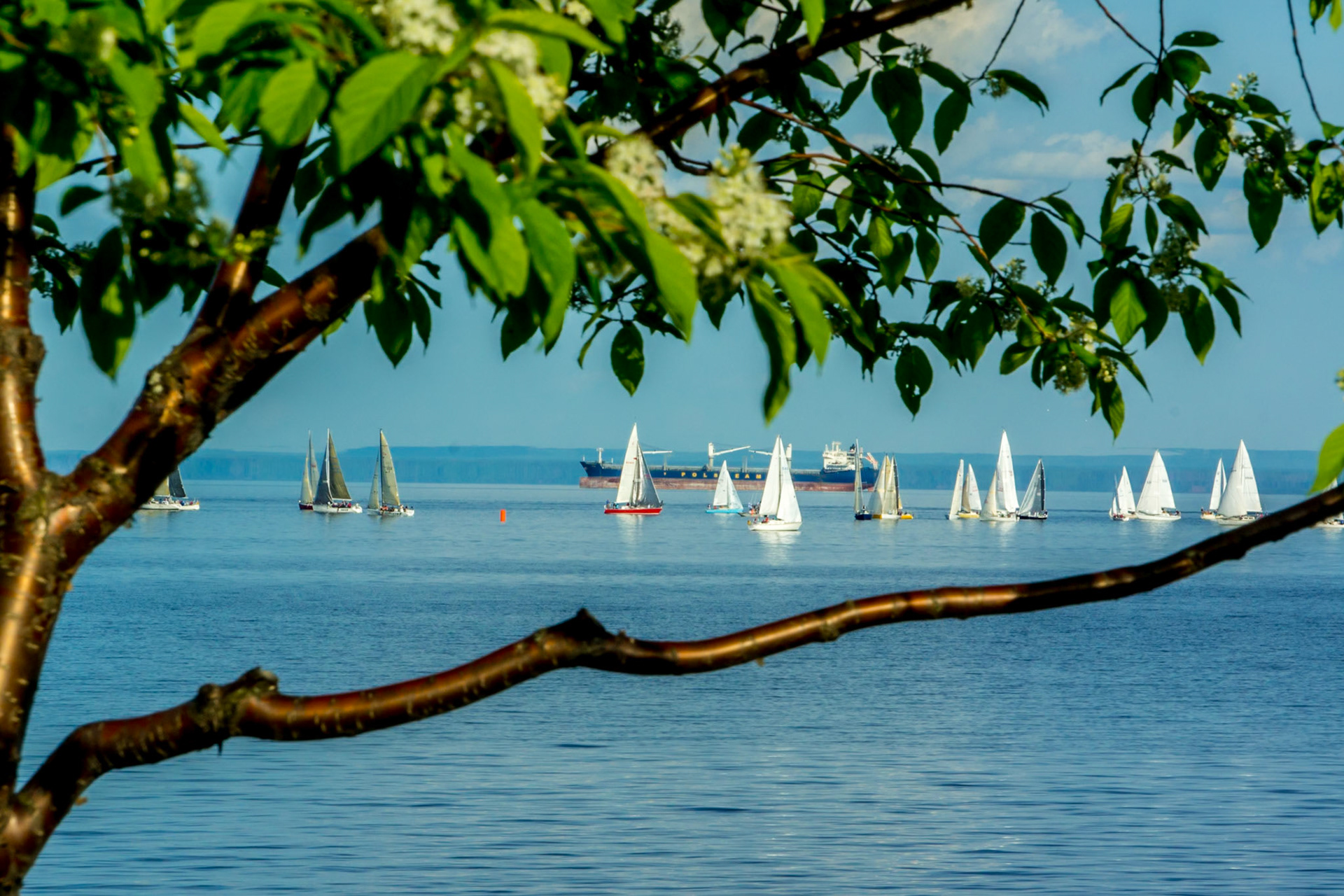 June 22 - Summer SailsWith warm and long summer days in the Northland, the sailboats come out full force to enjoy Lake Superior and relax in the soft breezes.God called the dry land Earth, and the waters that were gathered together he called Seas. And God saw that it was good. Genesis 1:10Watching a sailboat relaxes the mind, much like reading God's Word brings peace to the soul.