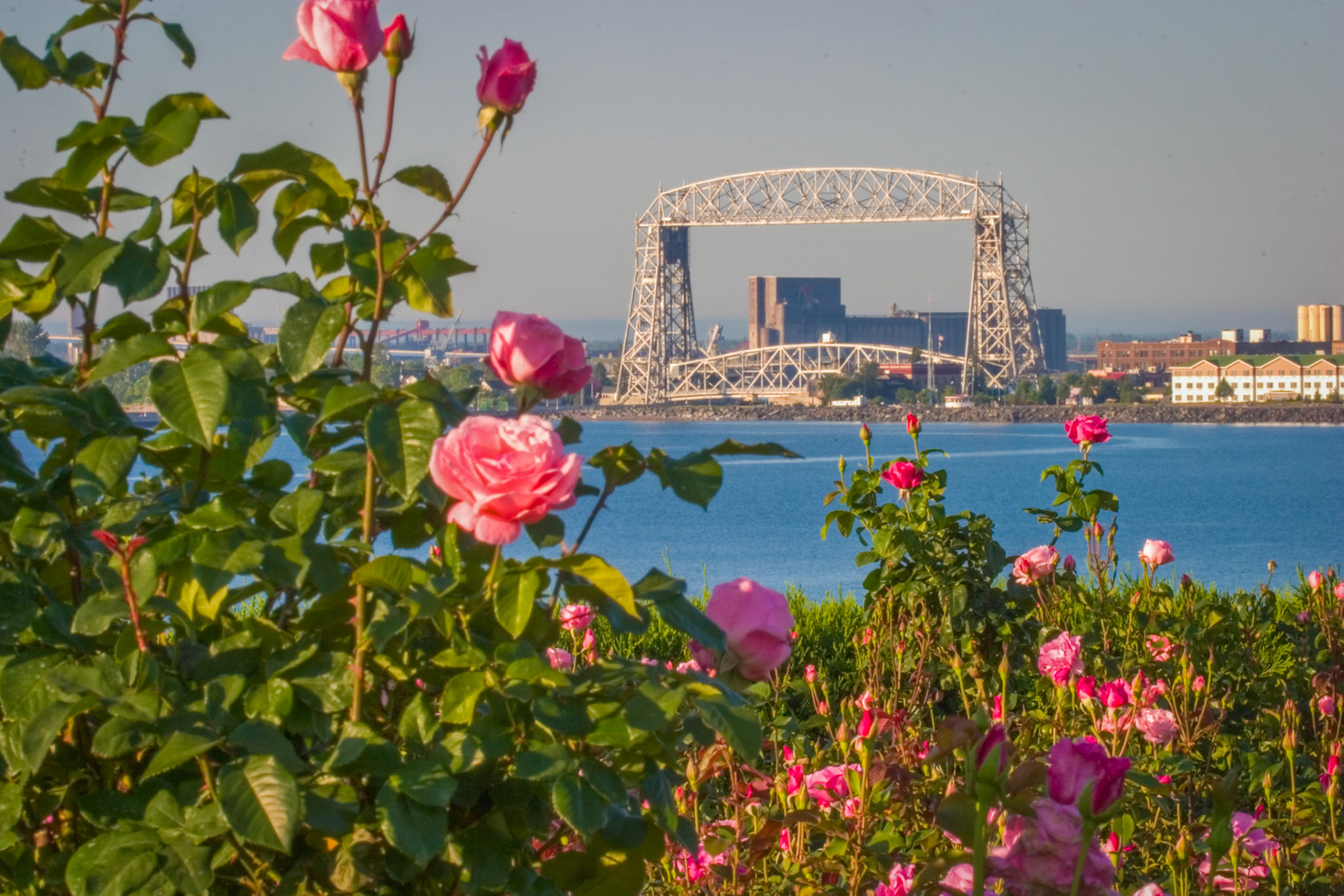 August 14 - Rose Framed Bridge - This Duluth Rose Garden graces the shores of Lake Superior in Duluth. A spectacular extension of Leif Erikson Park, Duluth's Rose Garden offers a beautiful arrangement of more than 3,000 rose bushes and other floral delights. A fountain, a marble gazebo, an herb garden, and plenty of benches overlooking the lake.He makes me lie down in green pastures. He leads me beside still waters. He restores my soul. He leads me in paths of righteousness for his name's sake. Psalm 23:2-3