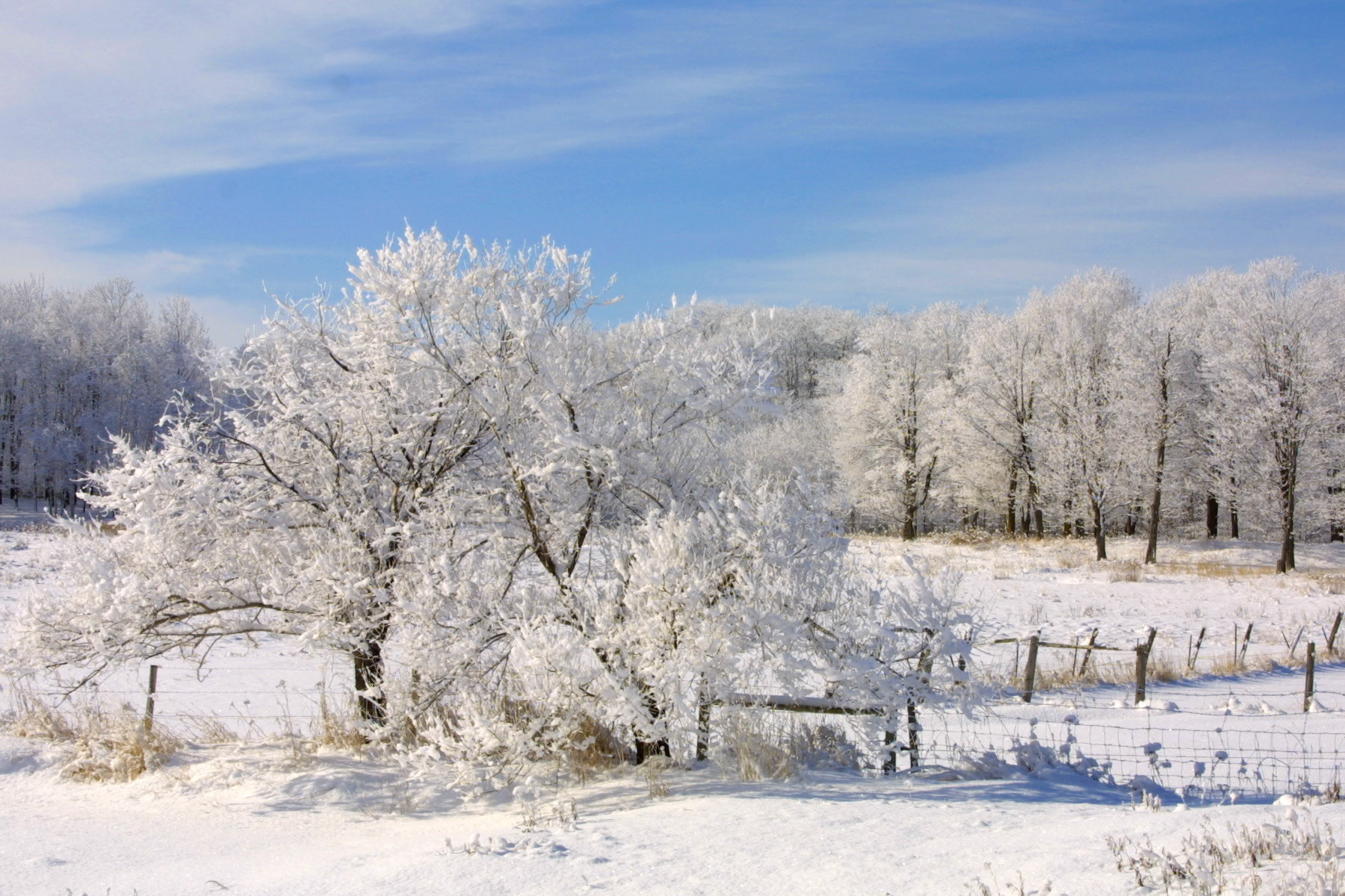 Fluffy white snow blankets a field near Spirit Mountain in Duluth.