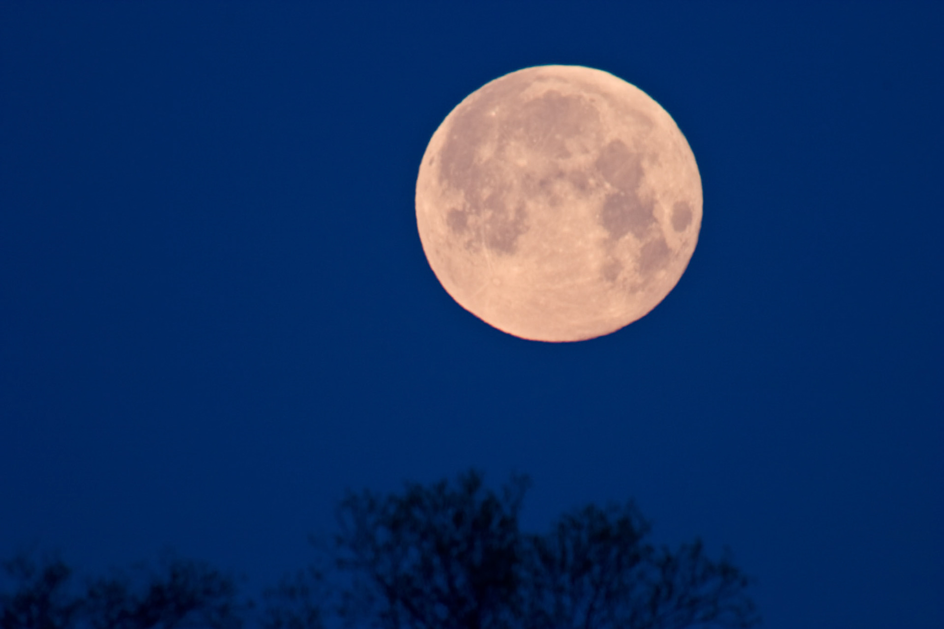 e moon settles into the horizon of a Minnesota Morning. In the beginning you laid the foundations of the earth, and the heavens are the work of your hands. They will perish, but you remain; they will all wear out like a garment. Like clothing you will change them and they will be discarded. But you remain the same, and your years will never end. (Psalm 102:25)