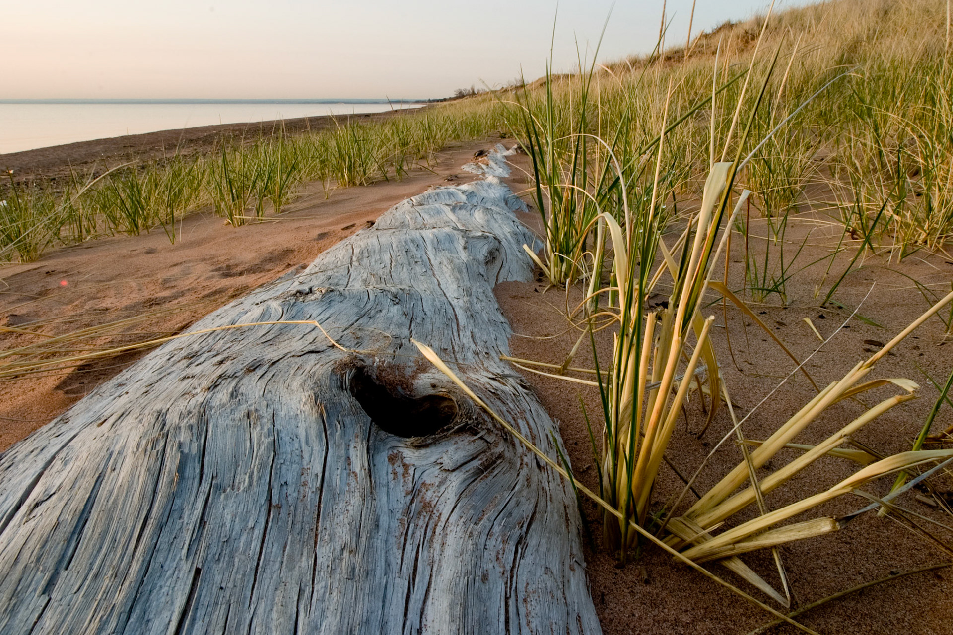 A driftwood log lays buried in the sand of Park Point on this early morning walk.