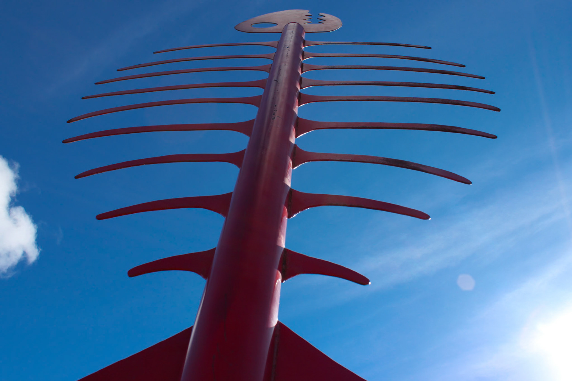 Fishbone Art, Metal, San Francisco