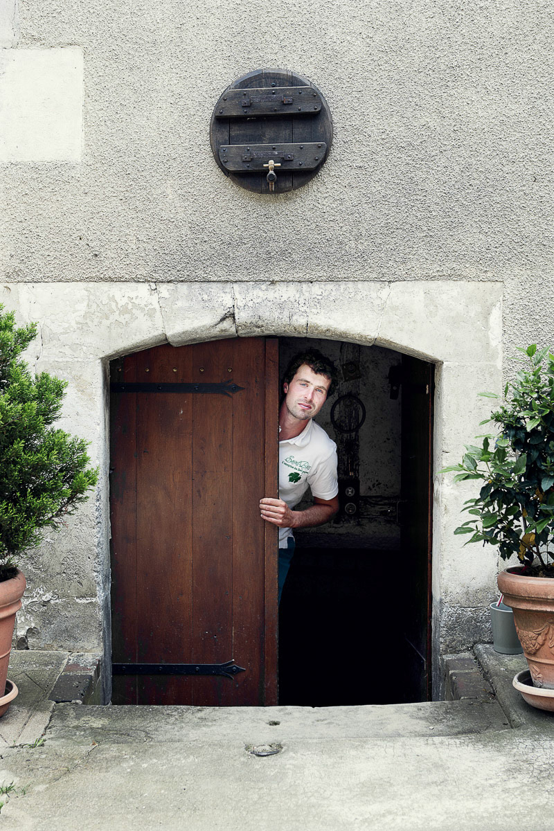 Pierre Saurin Coquard , Saint-Bris-le-Vineux vigneron
