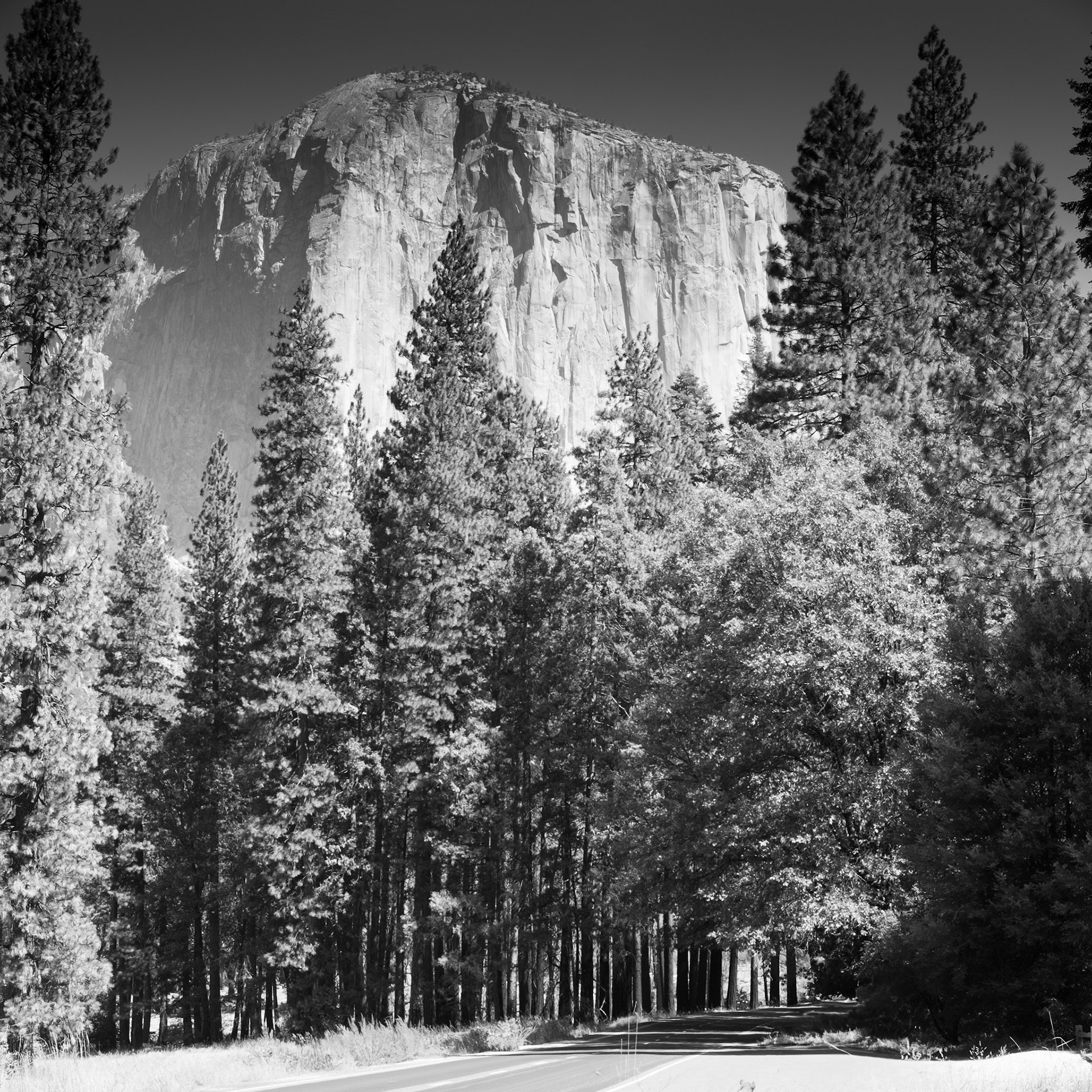El Capitan