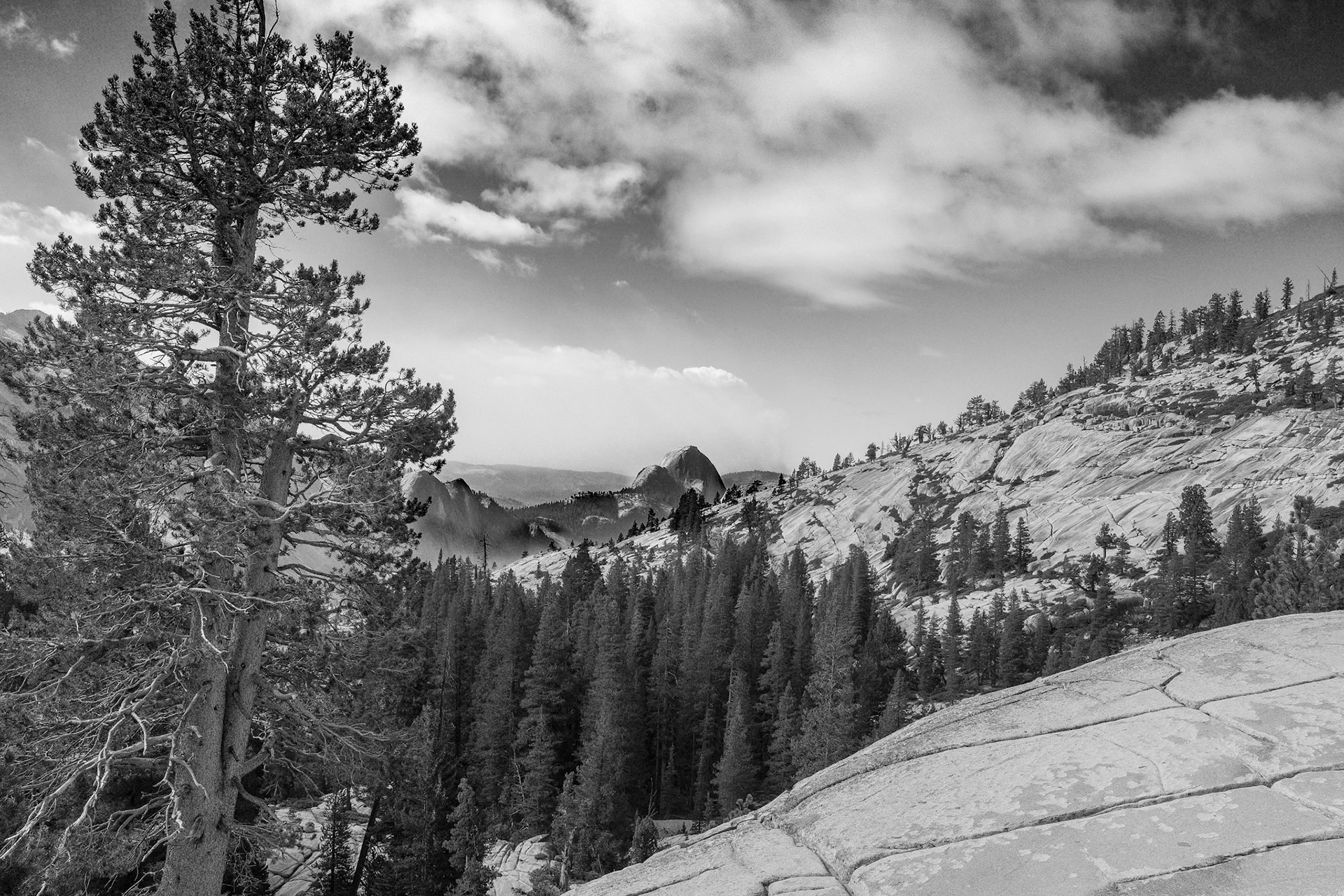 Half  Dome from Olmsted Point Yosemite
