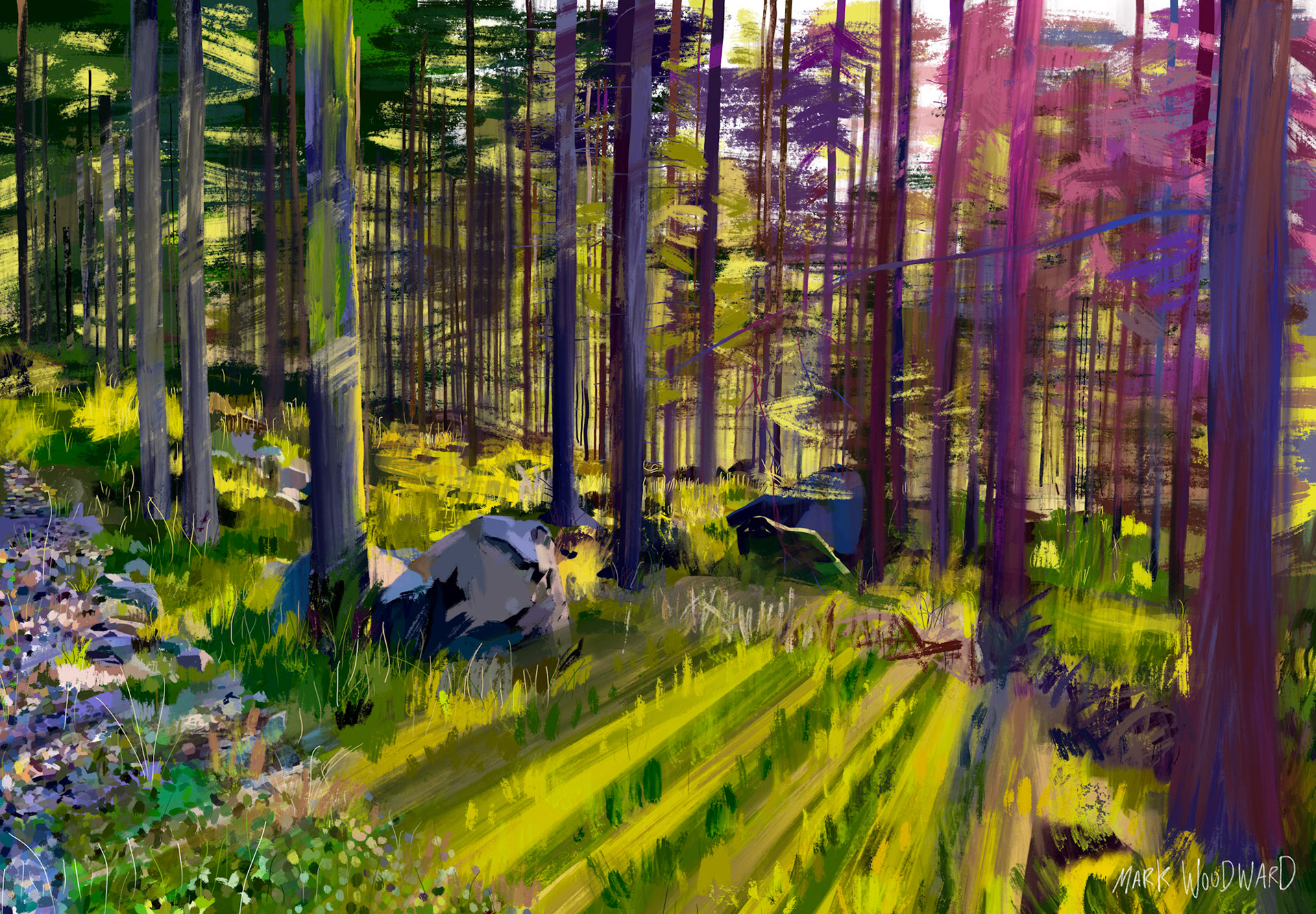 Stora Glöshult Forest