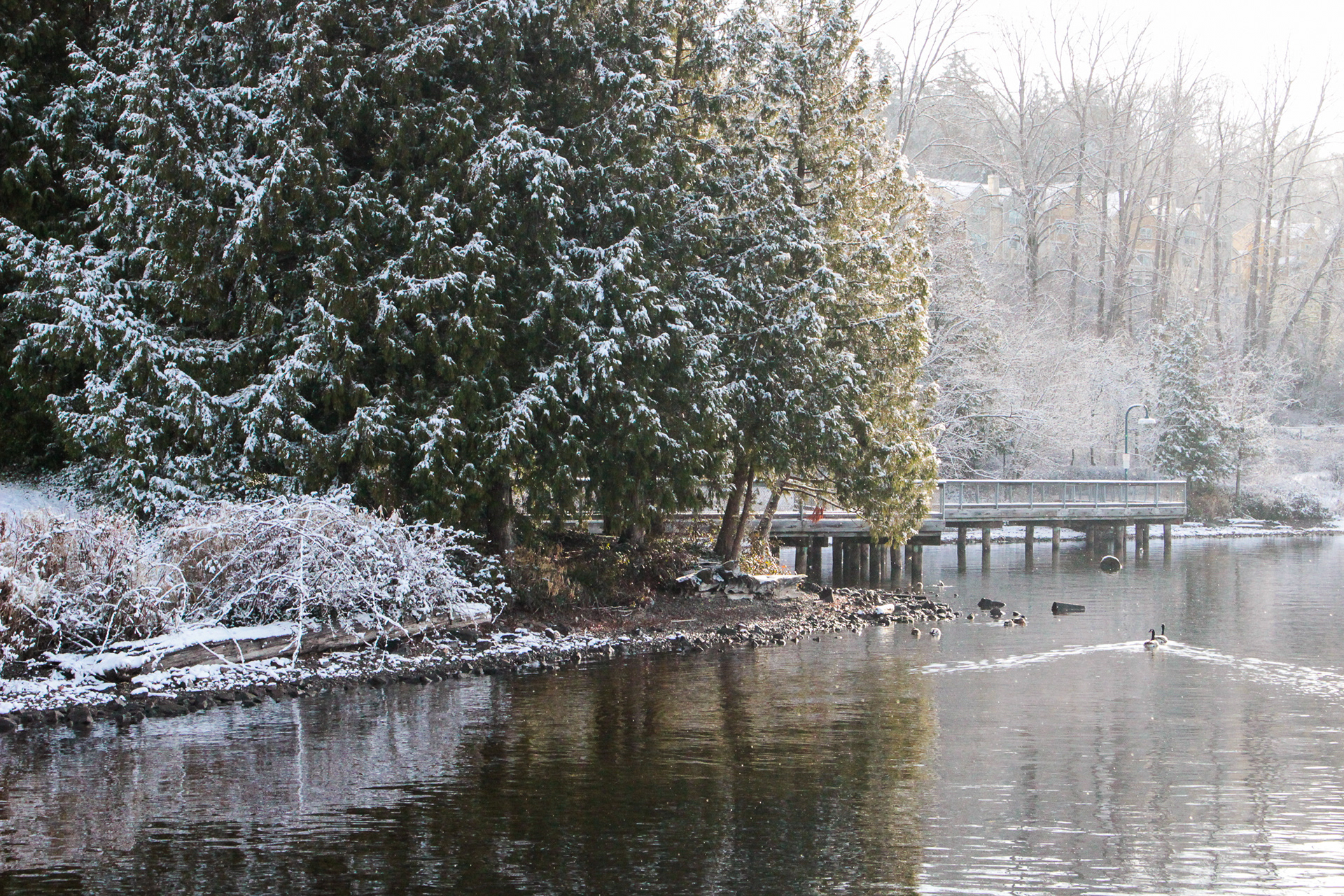 Gene Coulon Park, Renton, WA