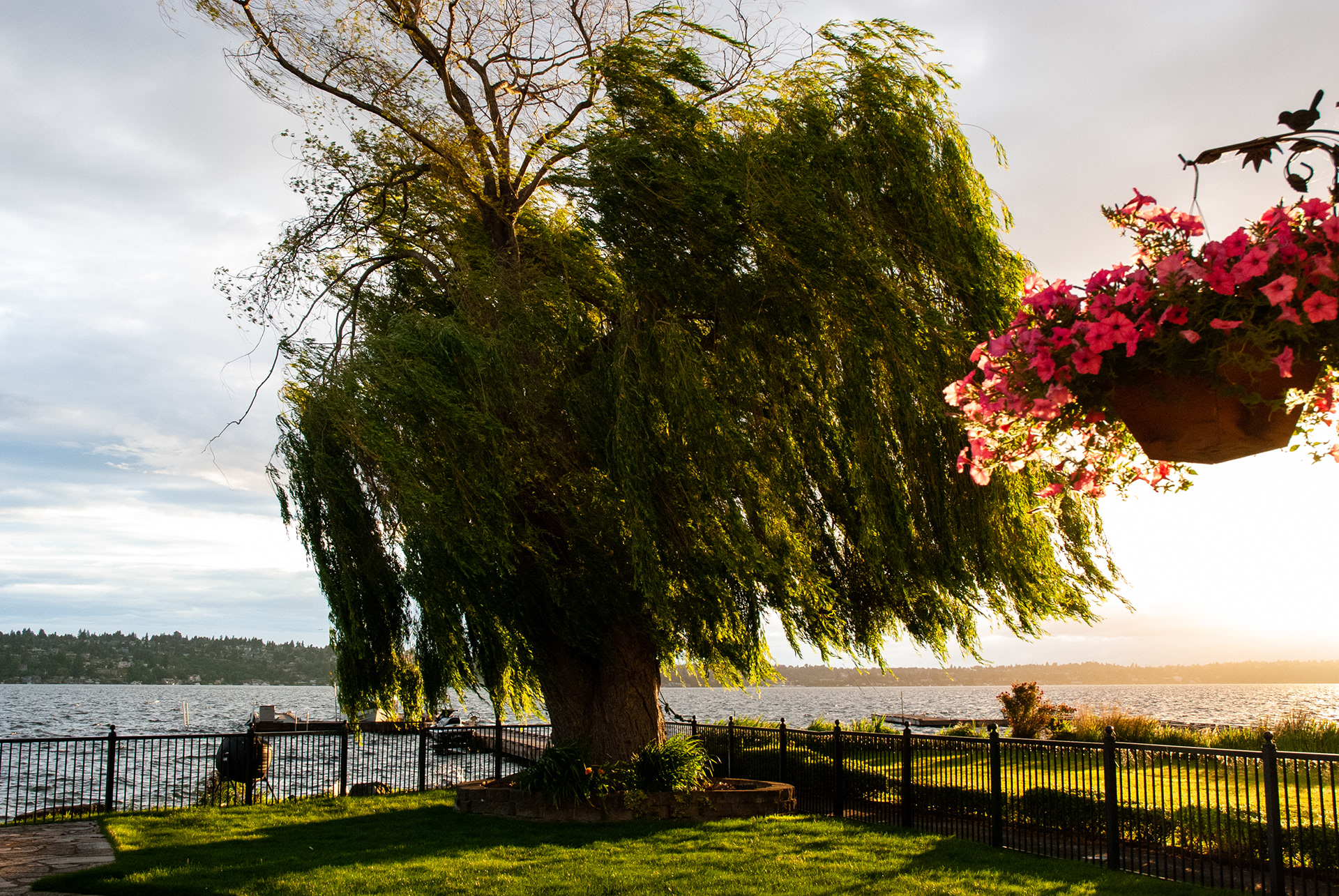 Lake Washington, Renton, WA