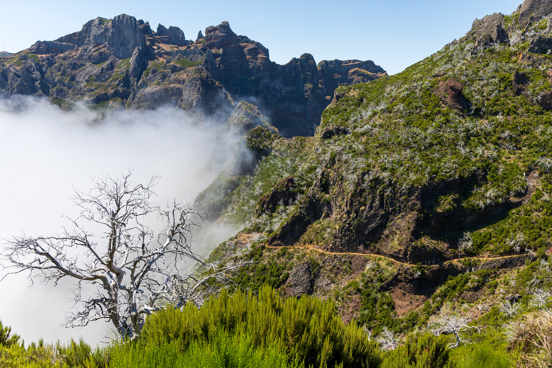 5 août 2024 - Pico Ruivo, Santana, Madère, Portugal
