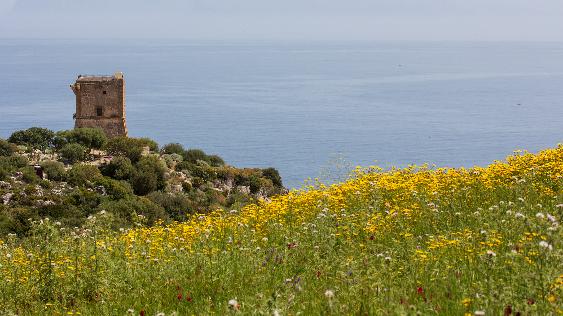 Torre Doria