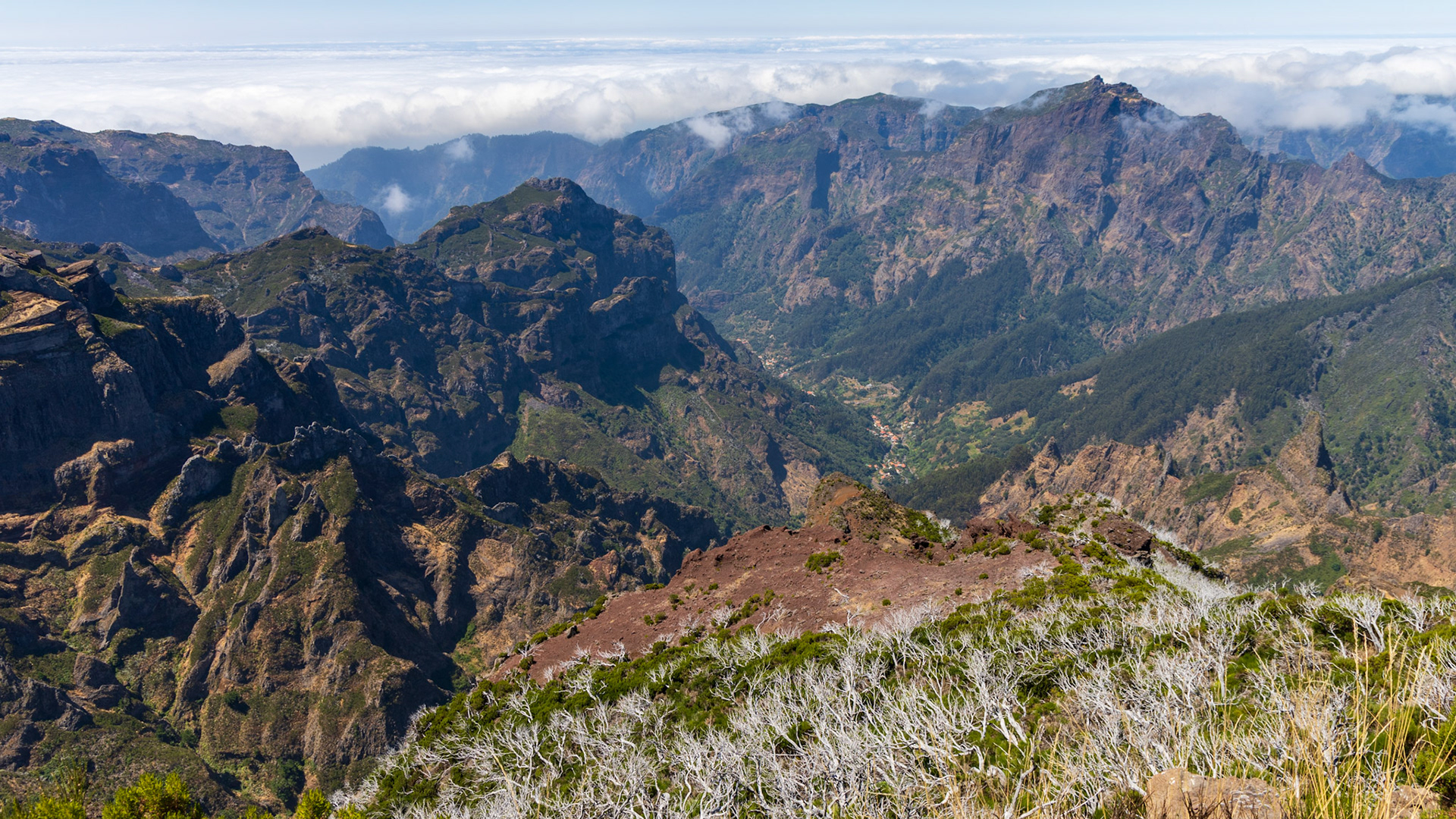 5 août 2024 - Pico Ruivo, Santana, Madère, Portugal