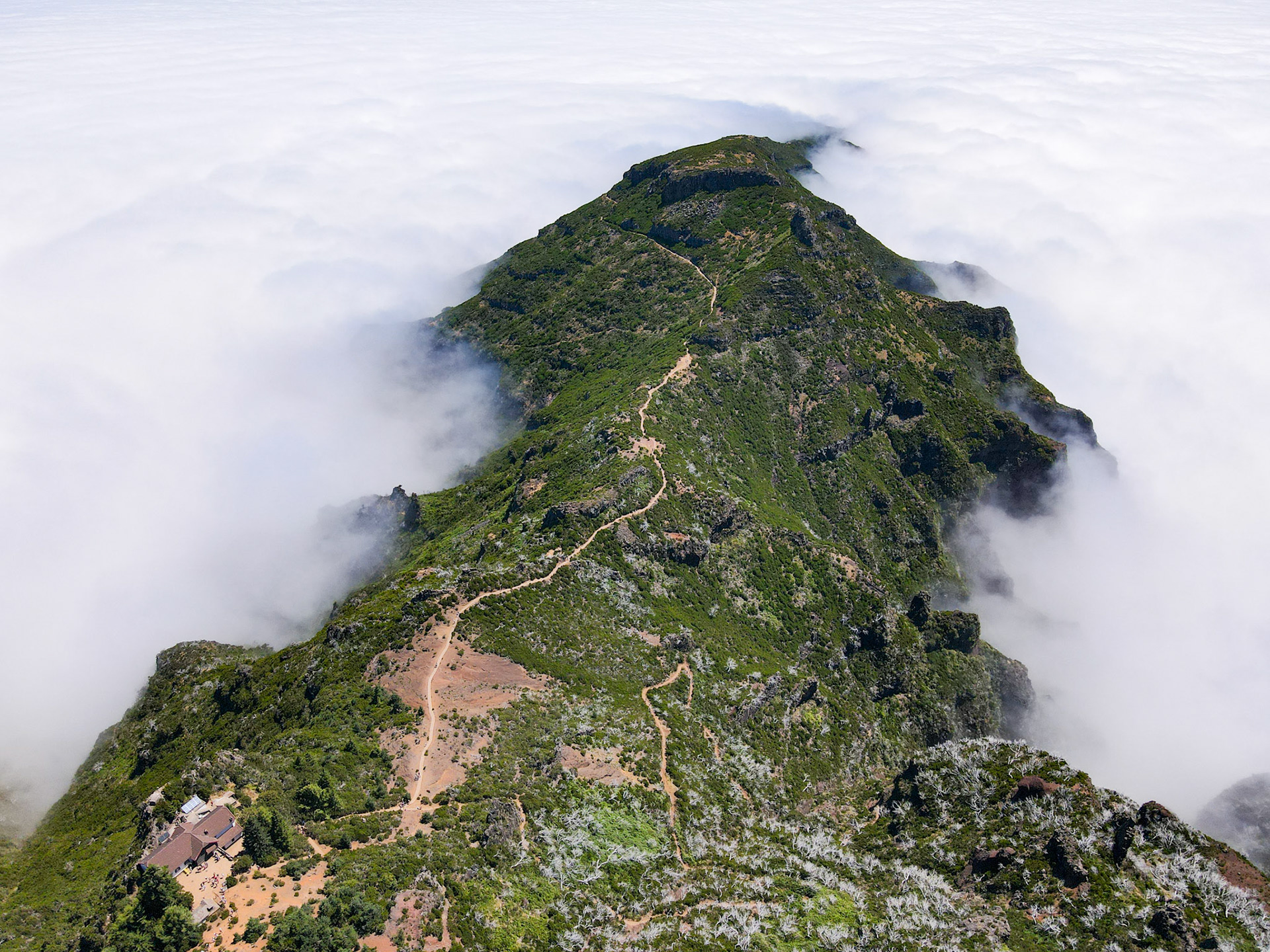 5 août 2024 - Pico Ruivo, Santana, Madère, Portugal