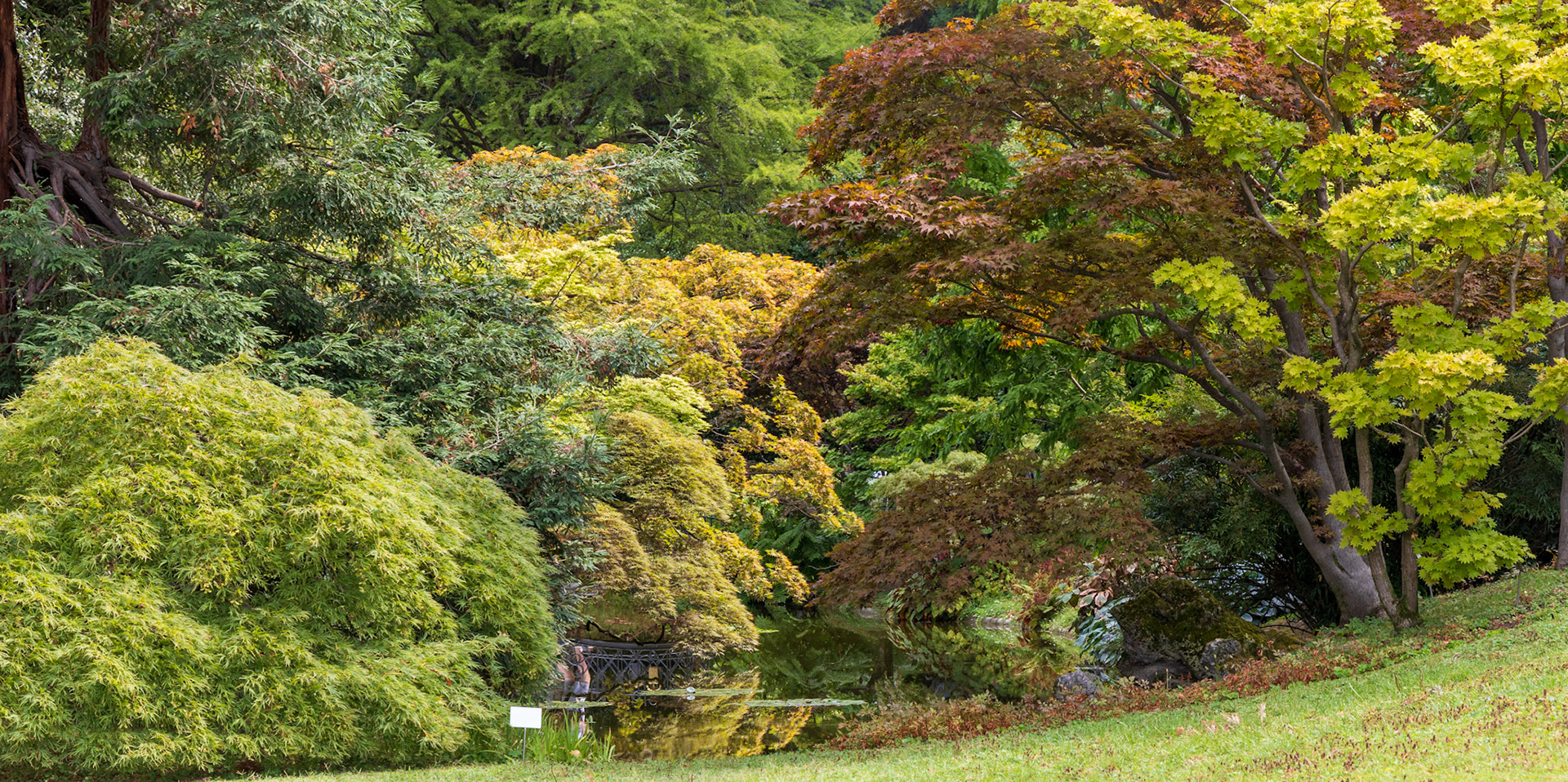 17 août 2022 - Parc de la Villa Melzi, Bellagio, Lombardie, Italie