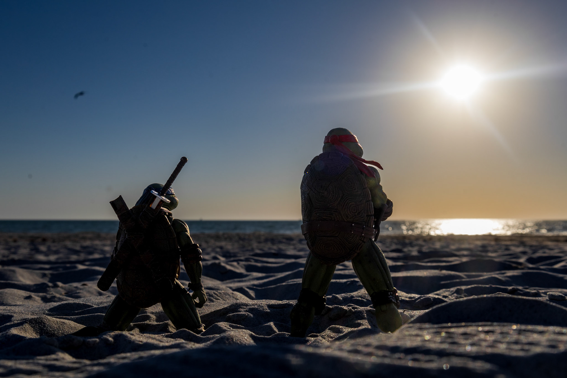 The Search for Donnie & Mikey (NECA)