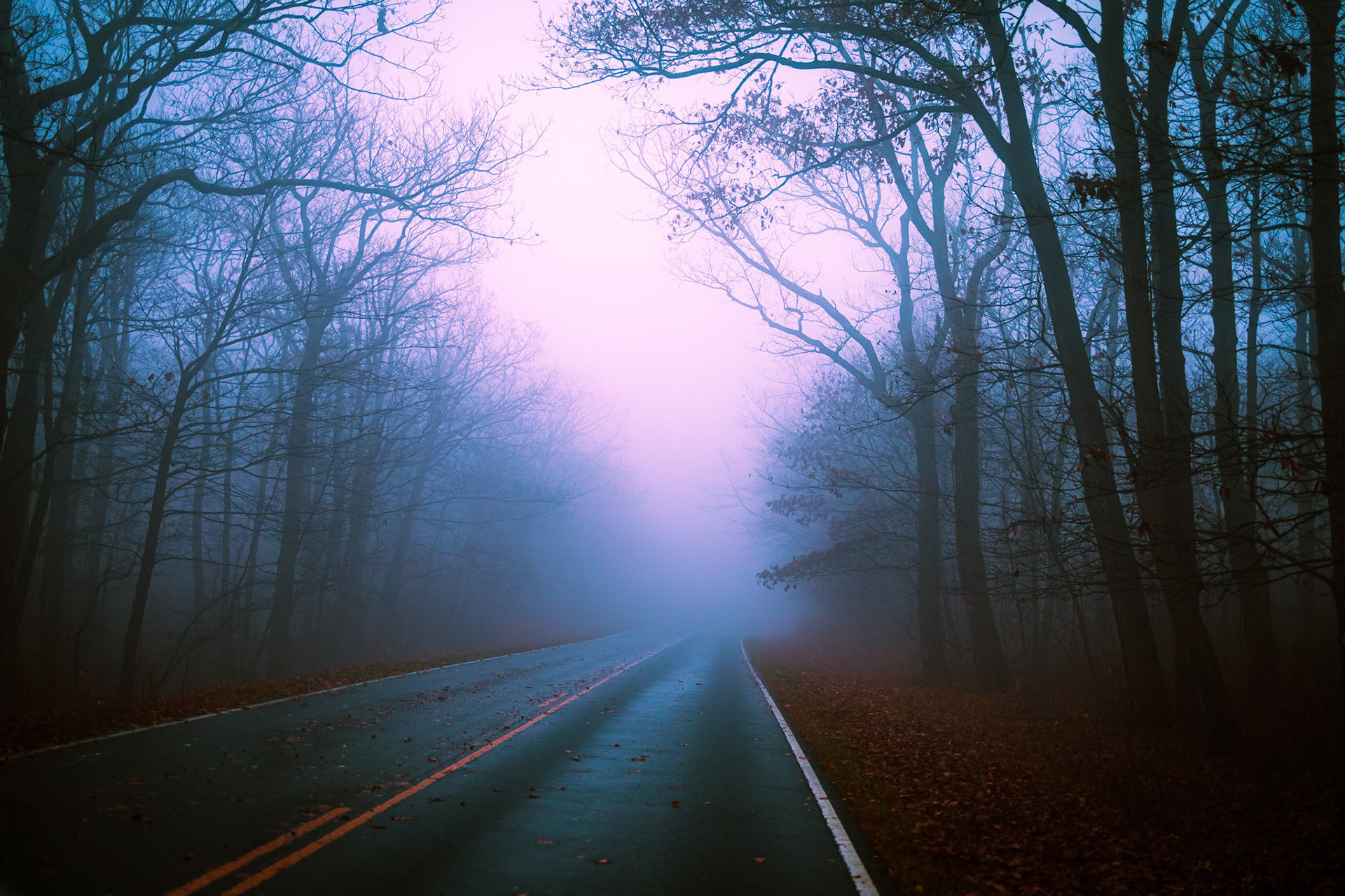 Shenandoah National Park , Virginia
