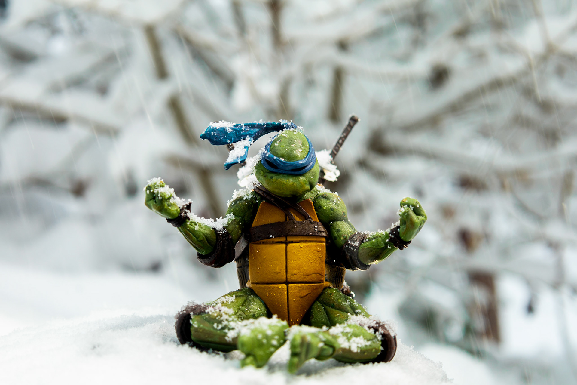 Meditating Leo (NECA Toys)