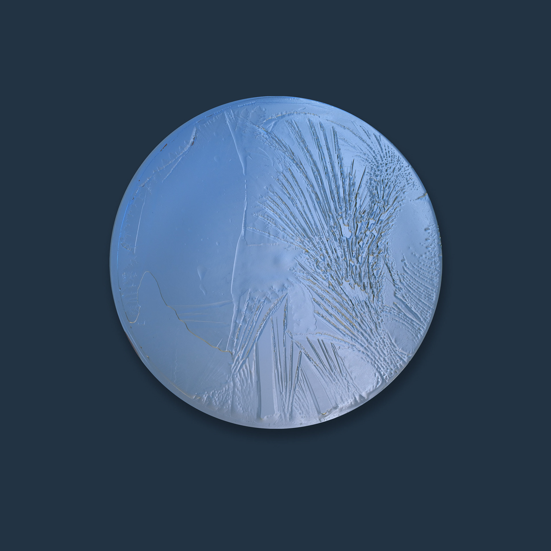 Test-input not registered